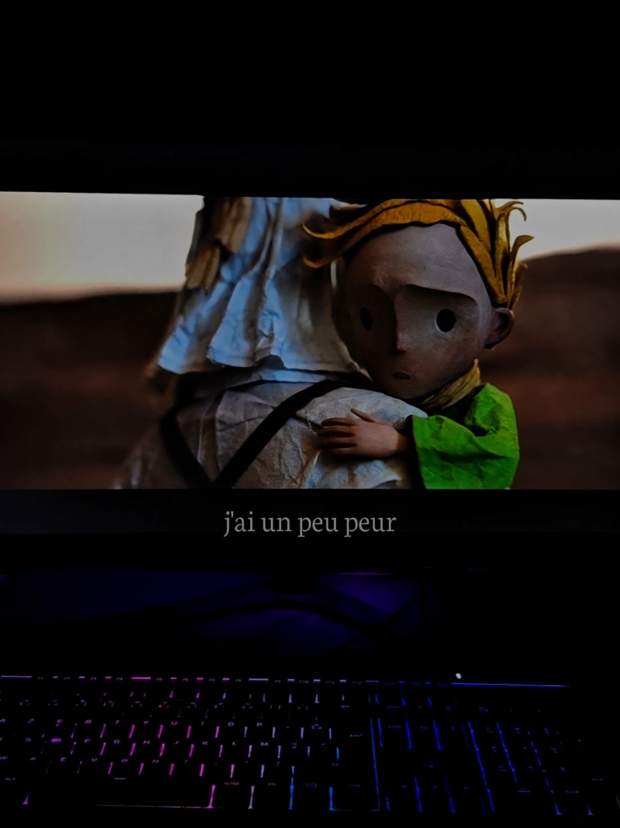 j'ai un peu peur... #anime #lepetitprince #animeedit #sad #citation 