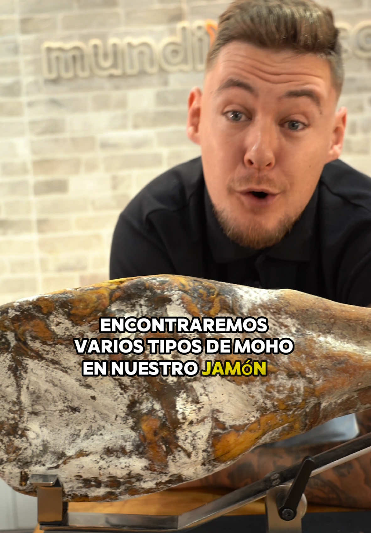 Moho en el jamón? #jamon #paleta #consejos #victorsanchegojamon 