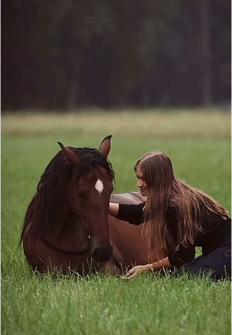 A horse is an expensive privilege but worth it-it is! Credits to equestrian_passionates on instagram. #foryoupage #fyp #viral #horse #trending #equestriantrend #equestriansoftiktok #showjumping #dressage #showjumpinghorse #viral_video #birdsofafeather #quality #highquality #rain #cozy #relaxing #horseriding 