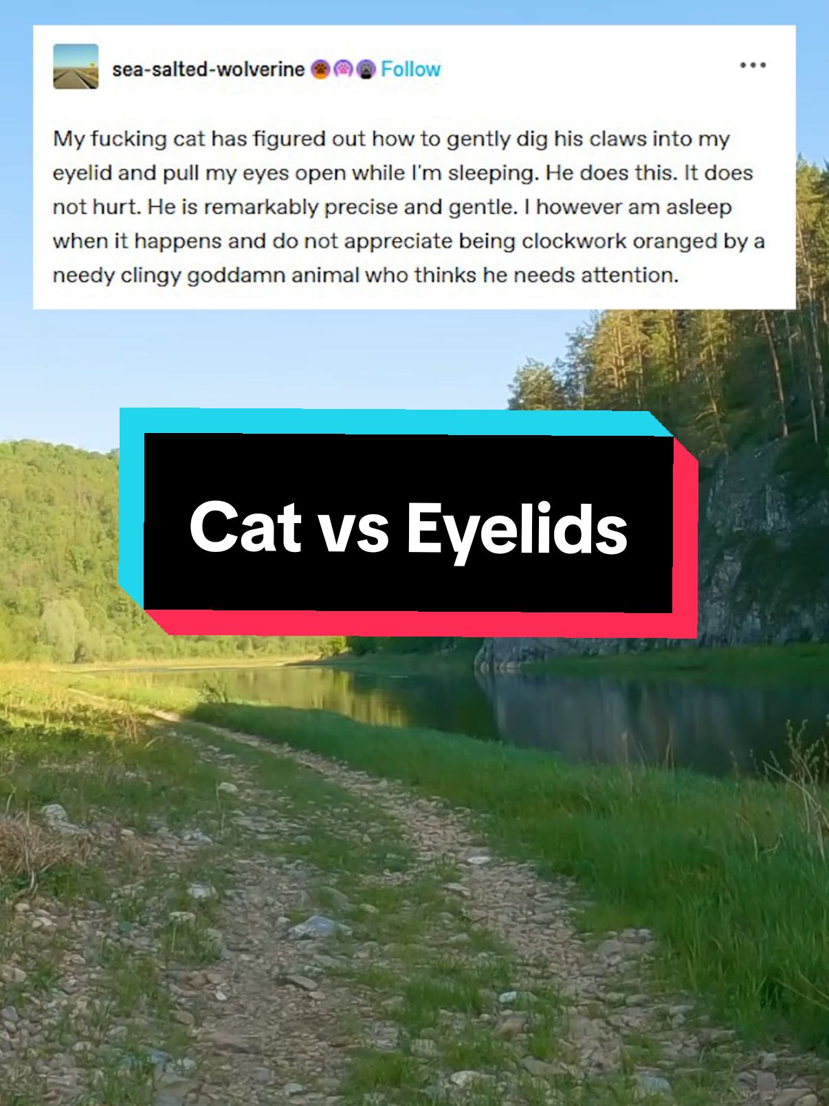 My cat has figured out how to gently dig his claws into my eyelid and pull my eyes open while l'm sleeping. He does this. It does not hurt. He is remarkably precise and gentle. I however am asleep when it happens and do not appreciate being clockwork oranged by a needy clingy animal who thinks he needs attention. #qna #tumblr #funny #storytime #cat #catsoftiktok #animal 