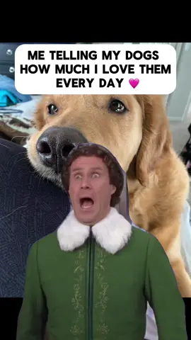 #CapCut #dogsoftiktok #dogmom #goldenretriever #goldenretrieverlife #christmas #me #sorrynotsorry #everyday 