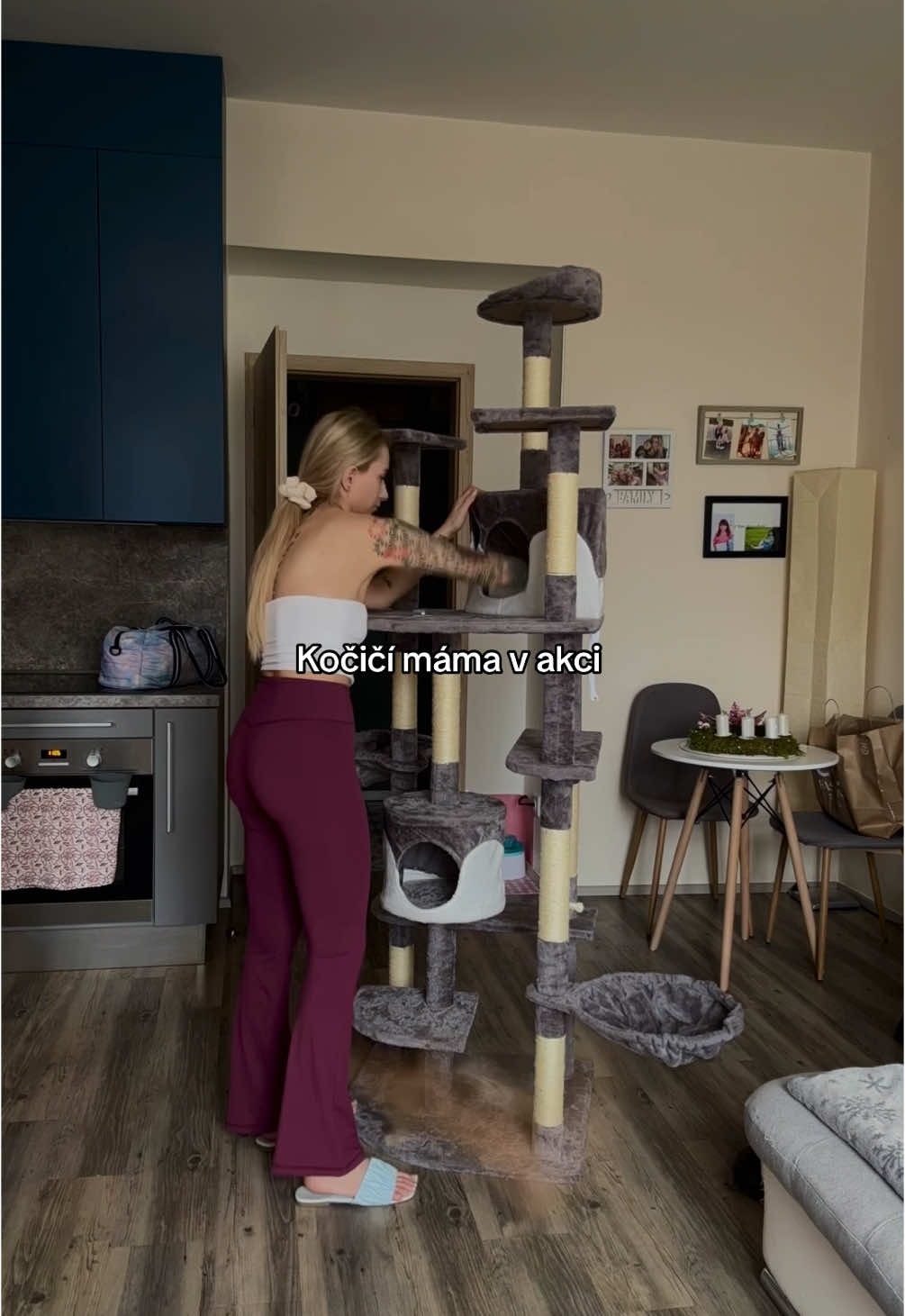 Nový bejvák pro moje děti #fyp #fypシ゚ #catsmom #catstiktok 