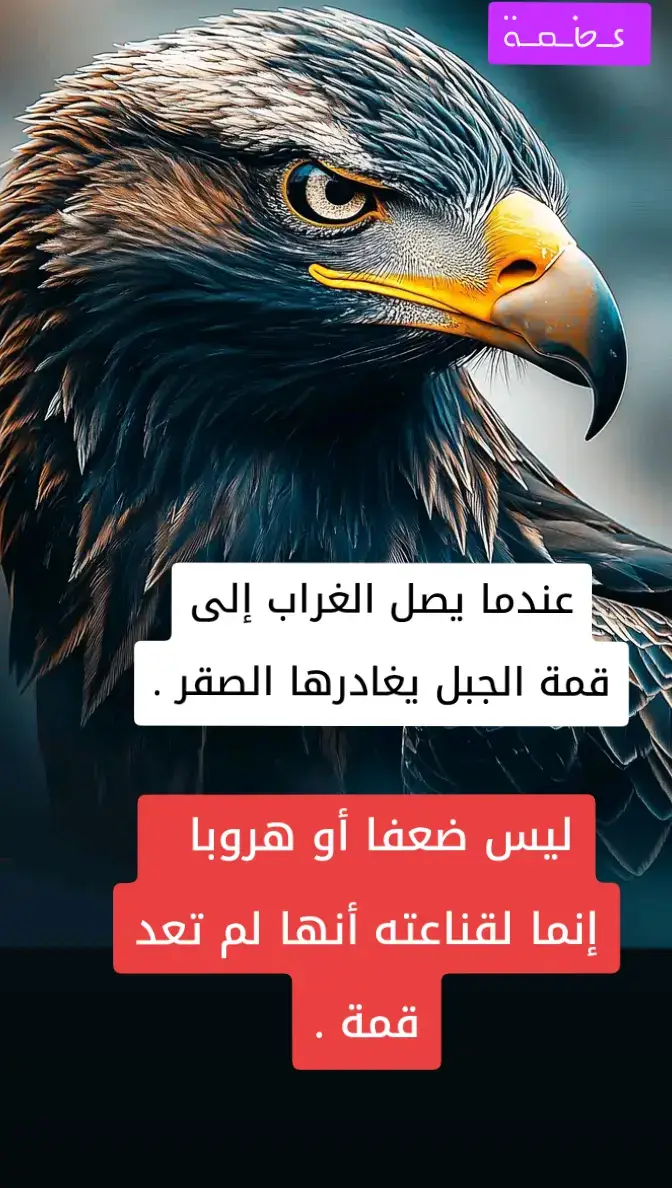 #جميع #محافظات #العراق