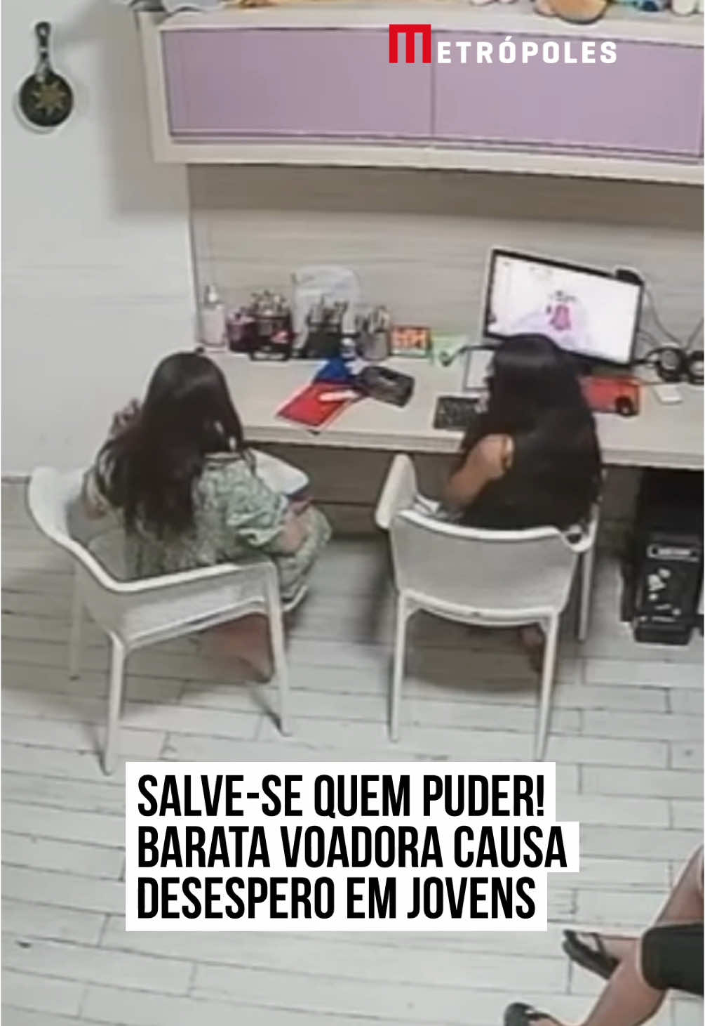 😰😨 Se você tem #medo de #barata, esse vídeo vai mostrar um dos momentos mais aterrorizantes que alguém pode passar. Durante um momento tranquilo no quarto, três adolescentes estavam distraídos, quando, de repente, uma barata voadora pousa em cima de uma mesa e sobe no cabelo de uma das meninas.  Em pânico, a #garota começa a gritar e assusta os outros dois, que saem correndo do #quarto. Até mesmo o #cachorrinho fugiu do local, assustado.  Como você reagiria nessa situação? #TikTokNotícias 📹 sophi_abrrnts (ig) | @myhoodbr