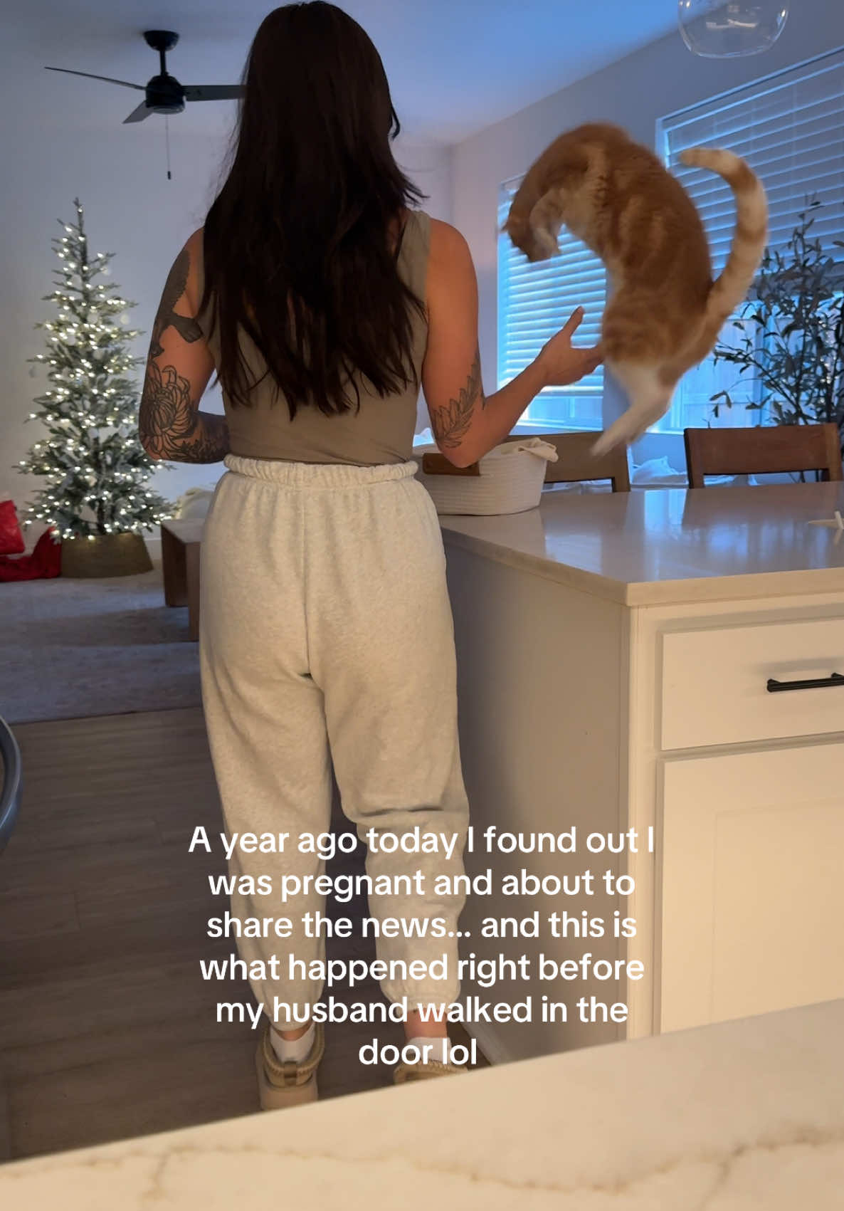 Somehow forgot to share this a year ago and I wish you could see the absolute chaos that went on outside of the video when he landed in the sink 🤣 dishes everywhere, knives went flying and cups shattered but our cat was perfectly fine!