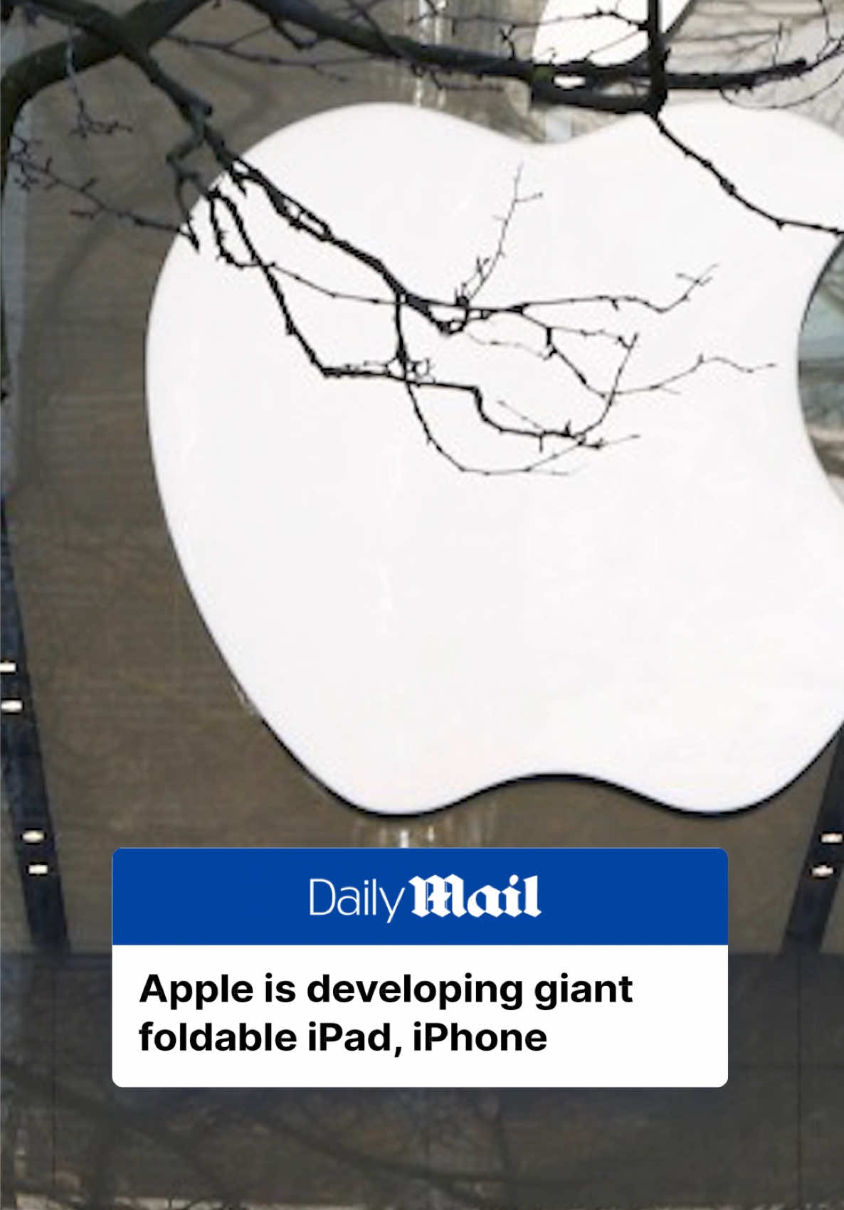 Apple is expected to release foldable iPhone and iPad models as early as 2026, according to reports from The Wall Street Journal and Bloomberg on Sunday. The foldable iPhone will reportedly feature a screen larger than the 6.9-inch display of the iPhone 16 Pro Max. Meanwhile, the foldable iPad is expected to be roughly the size of two iPad Pros placed side by side, combining elements of both an iPad and a Mac, according to Bloomberg. The foldable iPhone is likely to debut in 2026, though a delay to 2027 is possible, with the foldable iPad expected to follow in 2028, the reports noted. #apple #techtok #iphone #ipad #technology #phones 