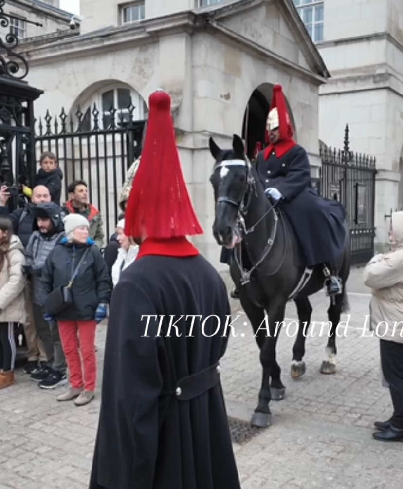 Tourists Madness #tiktok 