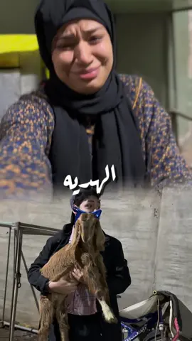 الصلح خير يا جماعه😂😂😂😂