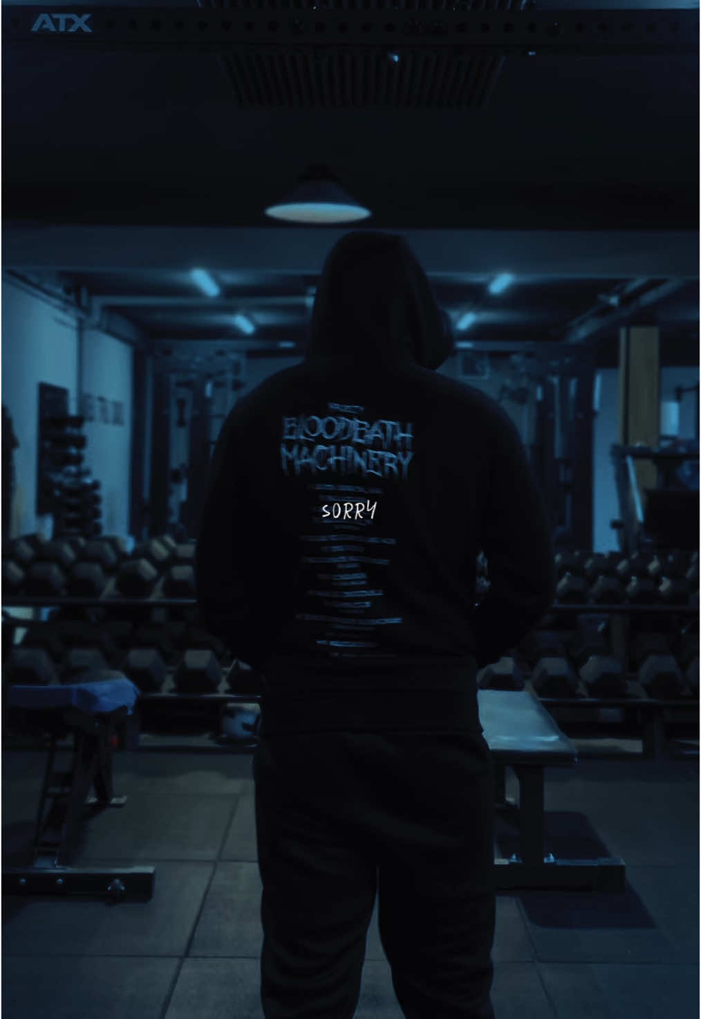 𝖺𝗋𝖾 𝗒𝗈𝗎 𝗈𝗄𝖺𝗒? The memories that go through your mind during a late night lifting session.  - #gymedit #sad #gymbro #cinematics #gymrat #winterarc #gymrats #blueaesthetic #real #gymvibes #powerlifting #gymtok