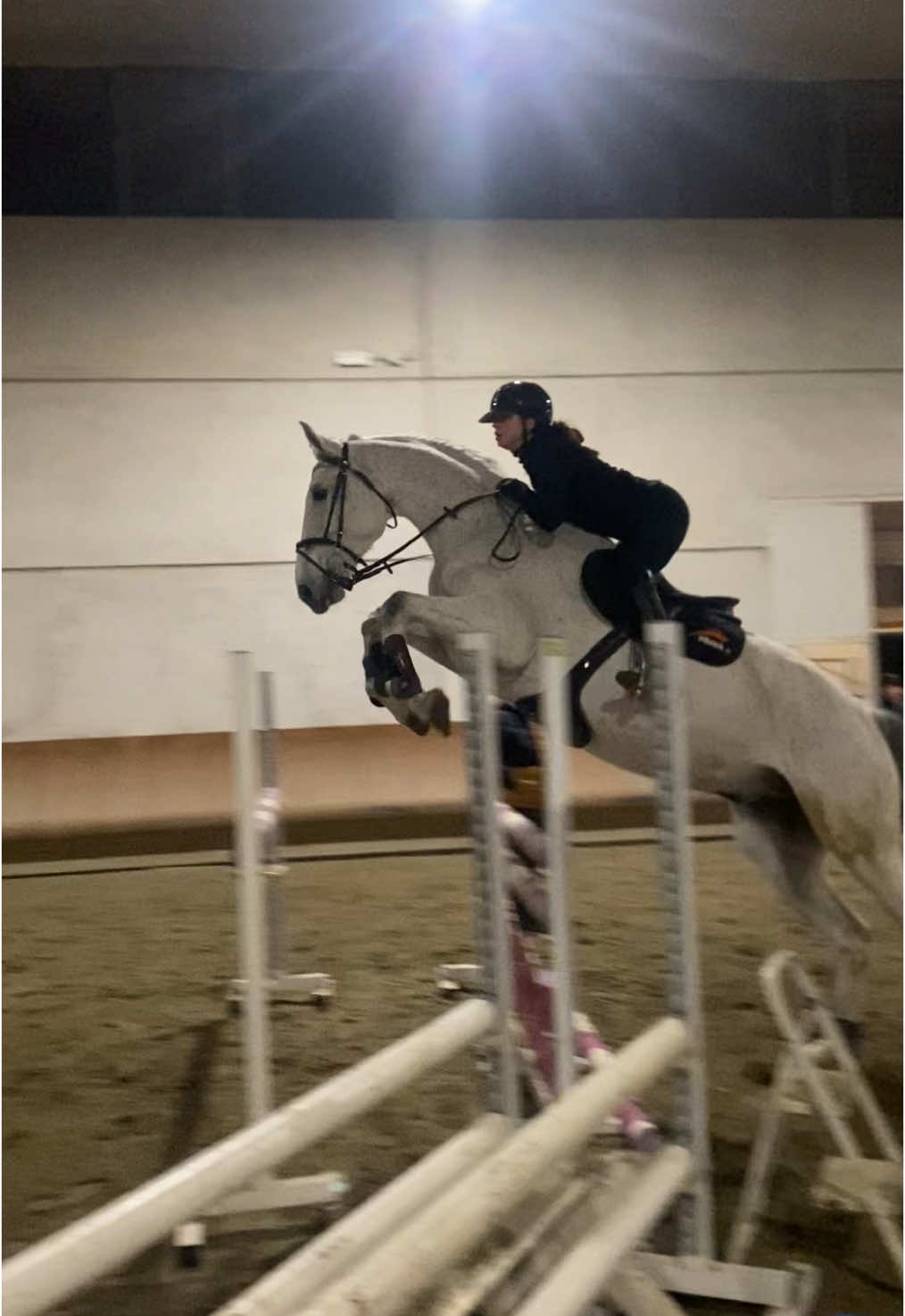 Mi fai volare🤍 #cavallo #horse 