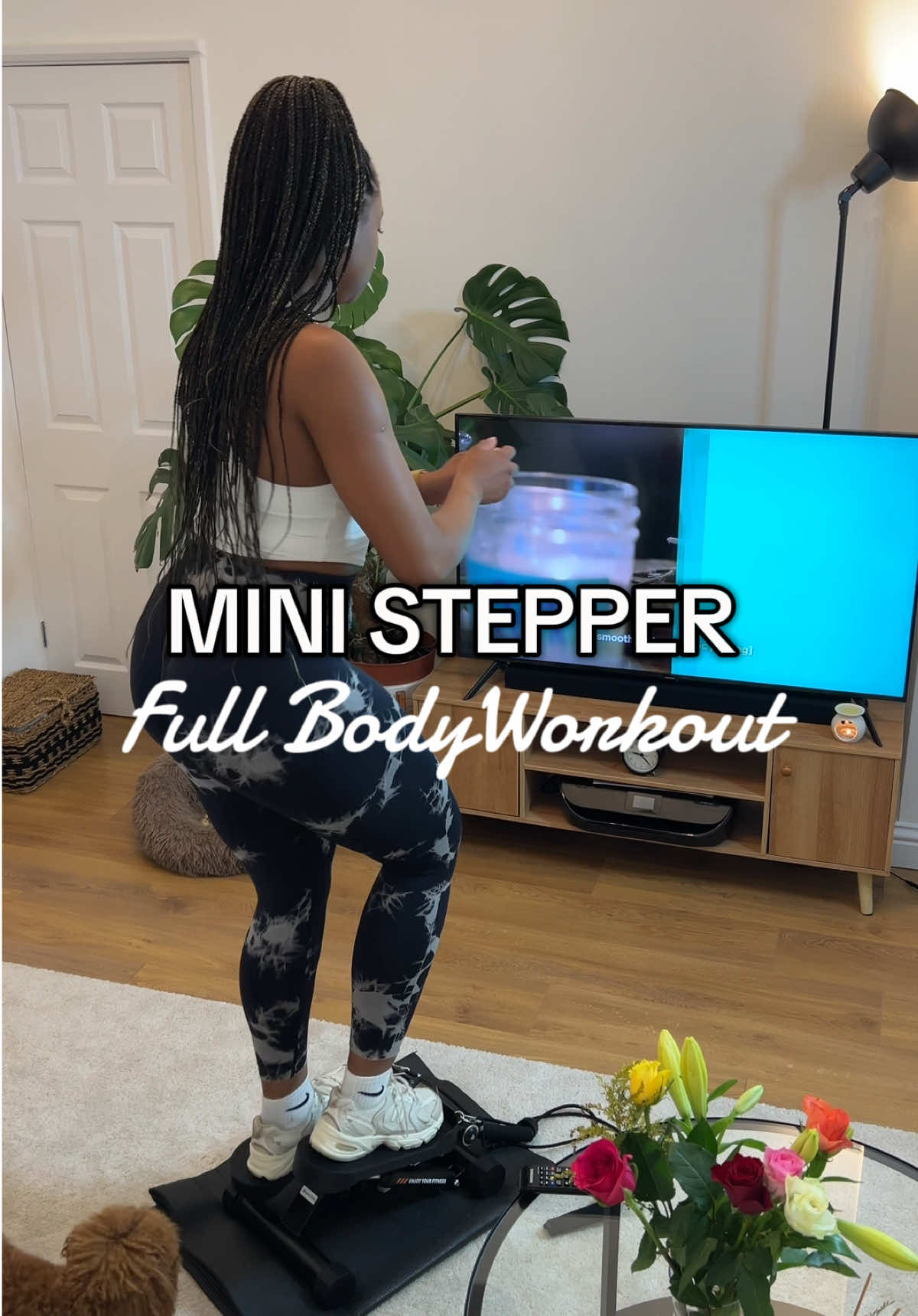 Day 9 ✅ Mini stepper full body workout  #ministepperworkout #ministepper #homeworkout 