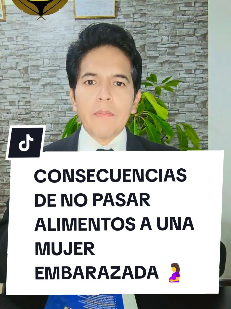 CONSECUENCIAS DE NO PASAR ALIMENTOS A UNA MUJER EMBARAZADA 🤰 #romalexfirmadeabogados👩‍🏫 #derecho #alimentos #pnp #pensionalimenticia ##pensionalimenticia #asesorialegal #leyes #abogadosperu🇵🇪 #derechoperuano #abogadostiktok 