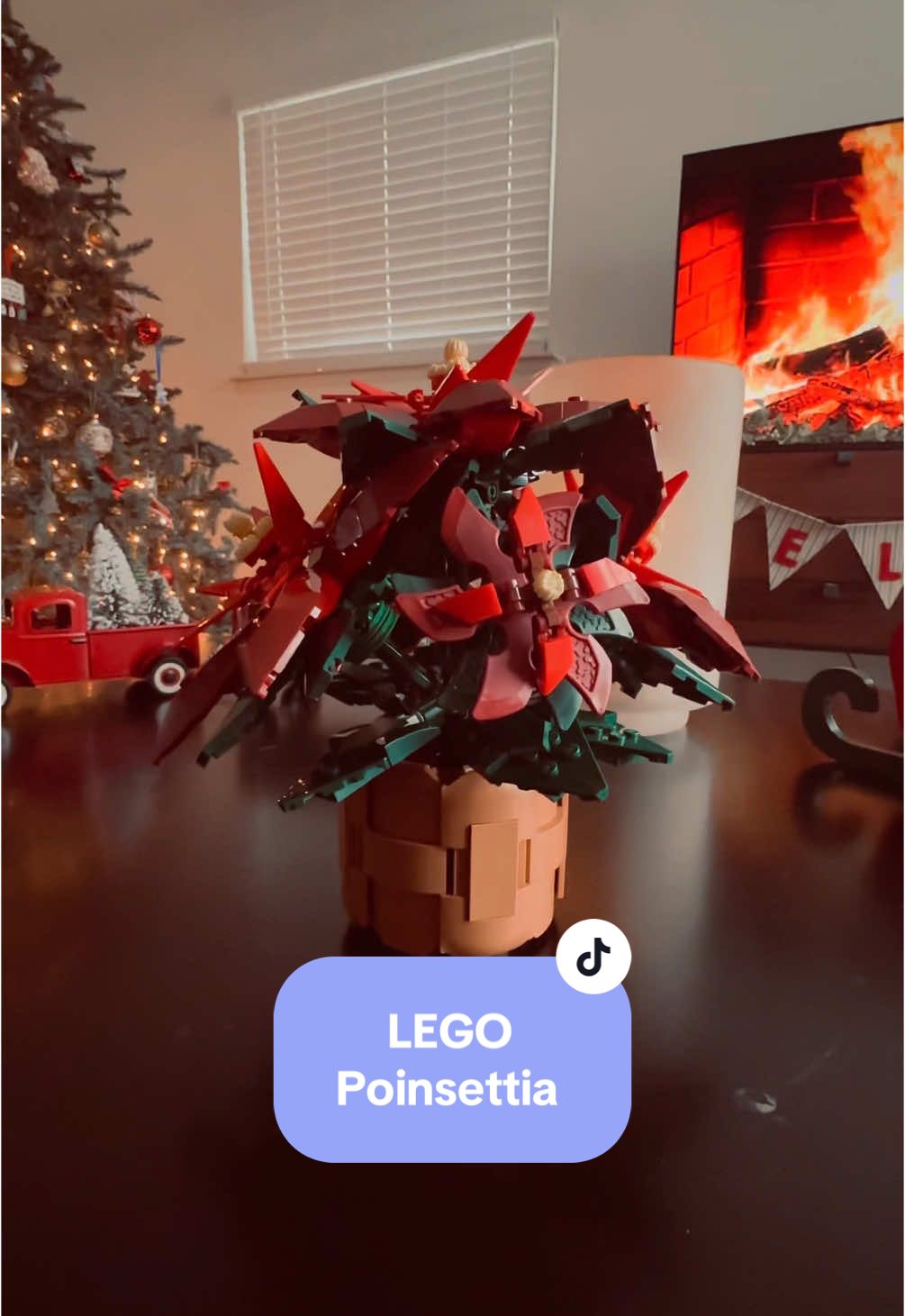 Check out @Bricks & Minifigs Novi for their 12 days of Christmas promotions! #lego #poinsettia #legobuild #legocollector #legocollection #legotiktok #legoasmr #asmr 