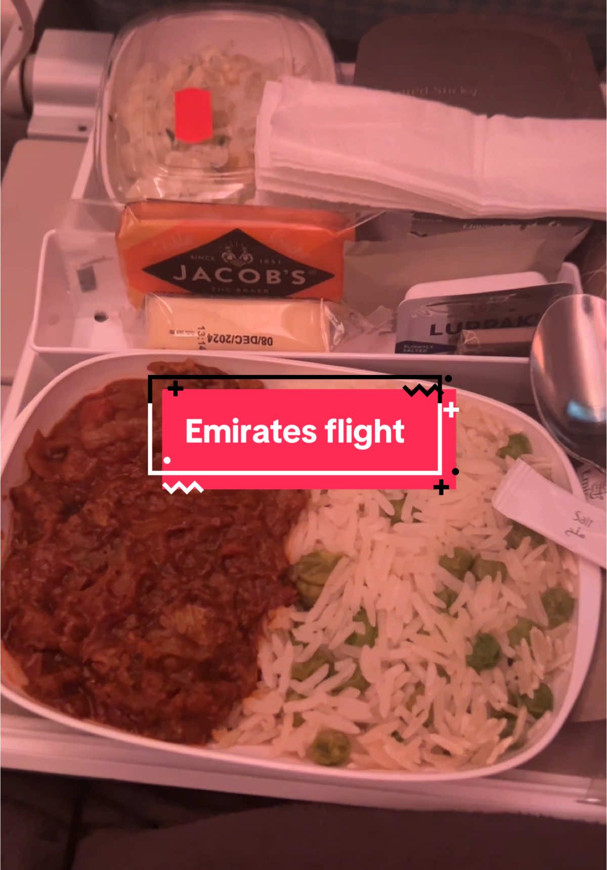 10/10 flight experience but still really expensive #flight #holiday #emirates #trip 