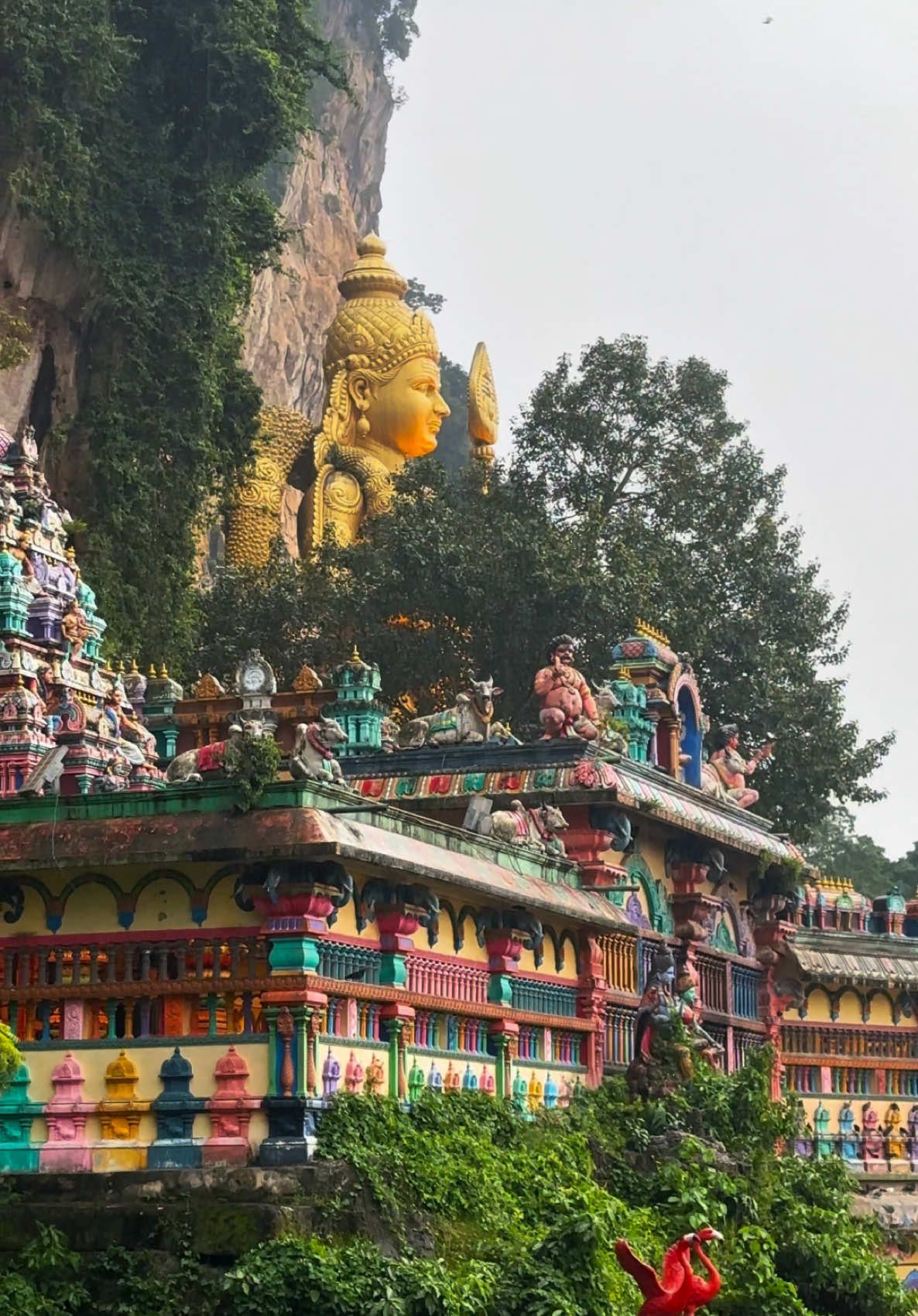 Serenity in every moment 🌿  #omsaravanabava #batucavesmuruga #batumalaimurugan #muruganthunai #muruga #alagumurugan #kualalumpur #batucaves 