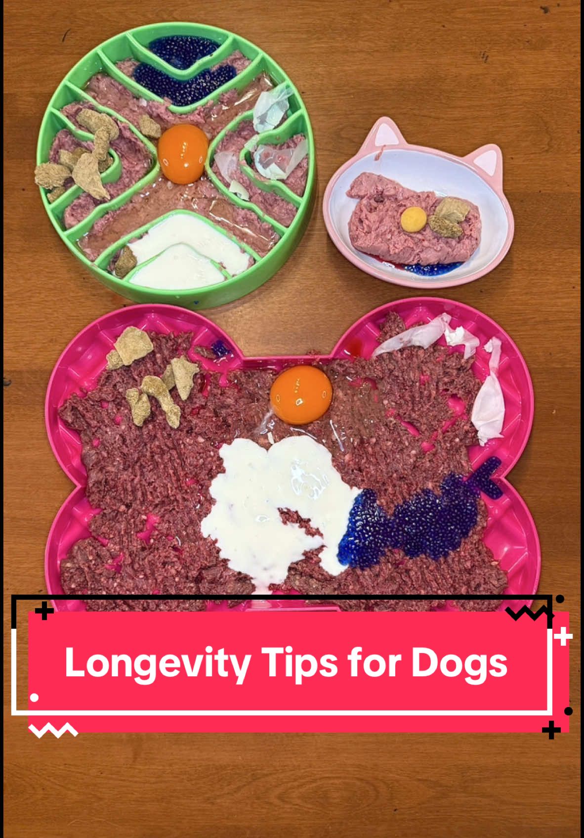 Dog Nutritionist tips for longevity! 🐶📈🙋🏼‍♀️ Use code 20KAYLAK9 for 20% off @Zora's Best Friendz beef liver 🥩 #dogfood #dogs #dogtreats #kibble #dogmom #rawfeddog  #zoraspartner #dogsoftiktok #rawfeeding #dogfoodrecipe #fyp #dog #dogtips #cats