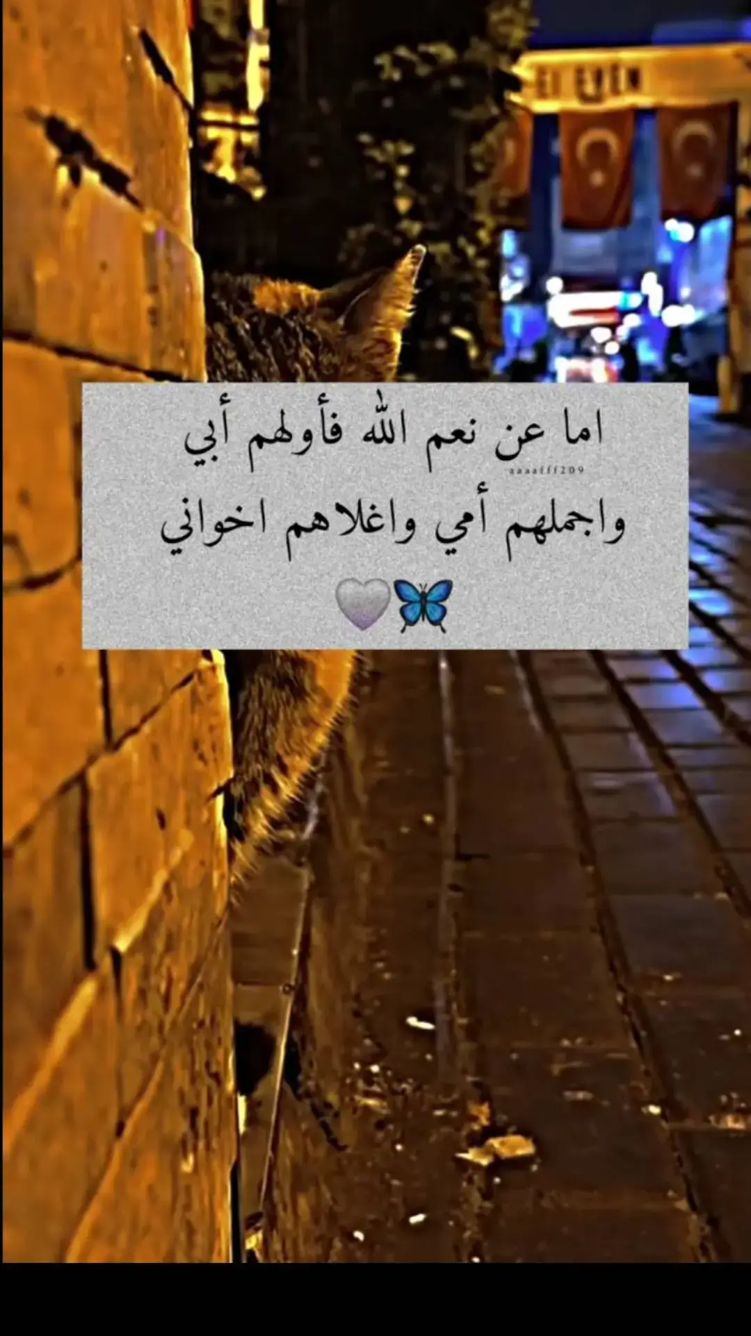 اللهم احمي عائلتي يارب #🥺🌹🌹🌹