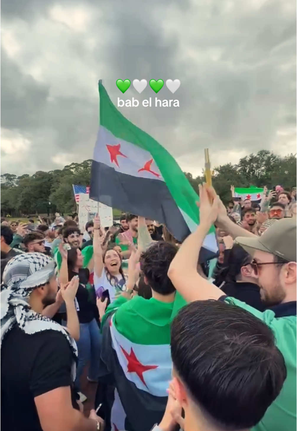 Bab al hara theme song goes crazy 💚🤍 #fyp #foryou #freesyria #syria #arab 