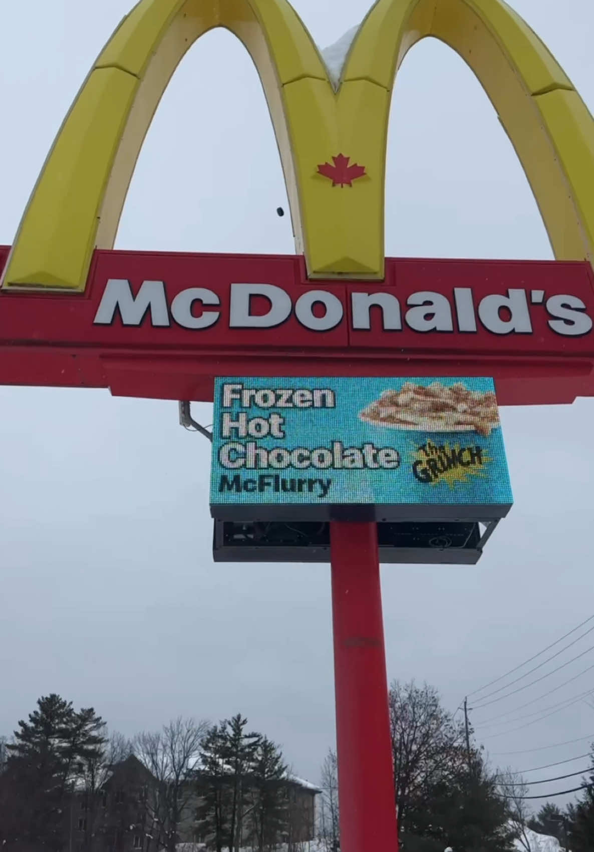 Golden arches trick shot complete.   Like the snow, the new Frozen Hot Chocolate McFlurry from @mcdonald’s canada🇨🇦 is only here for a limited time! It’s the perfect mixt between a hot chocolate – made with rich cocoa powder and mini marshmallows – and a McD’s soft serve! 