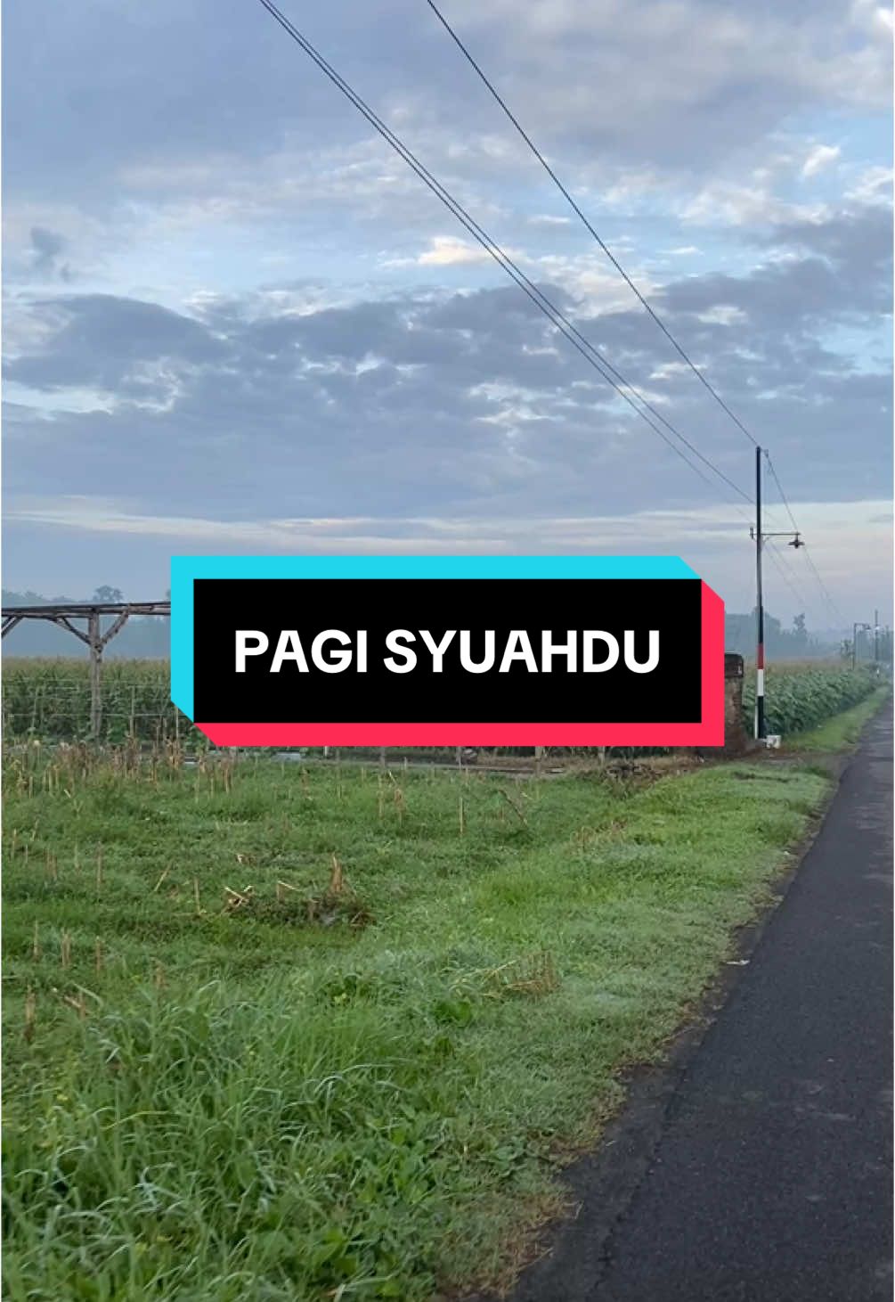 Pagi yang syuahdu! Lokasi: Persawahan Bunut-Pandan Kecamatan Badas Kabupaten Kediri. #kabarpare #pedesaan 