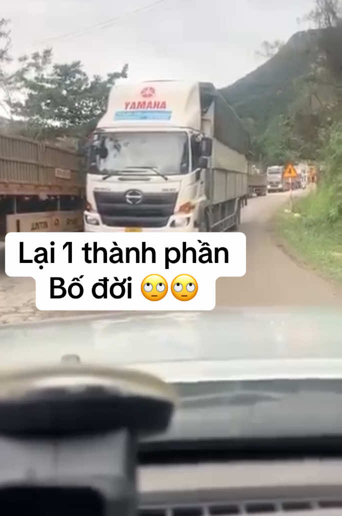 Thành phần đi tìm bố 😂😂😂