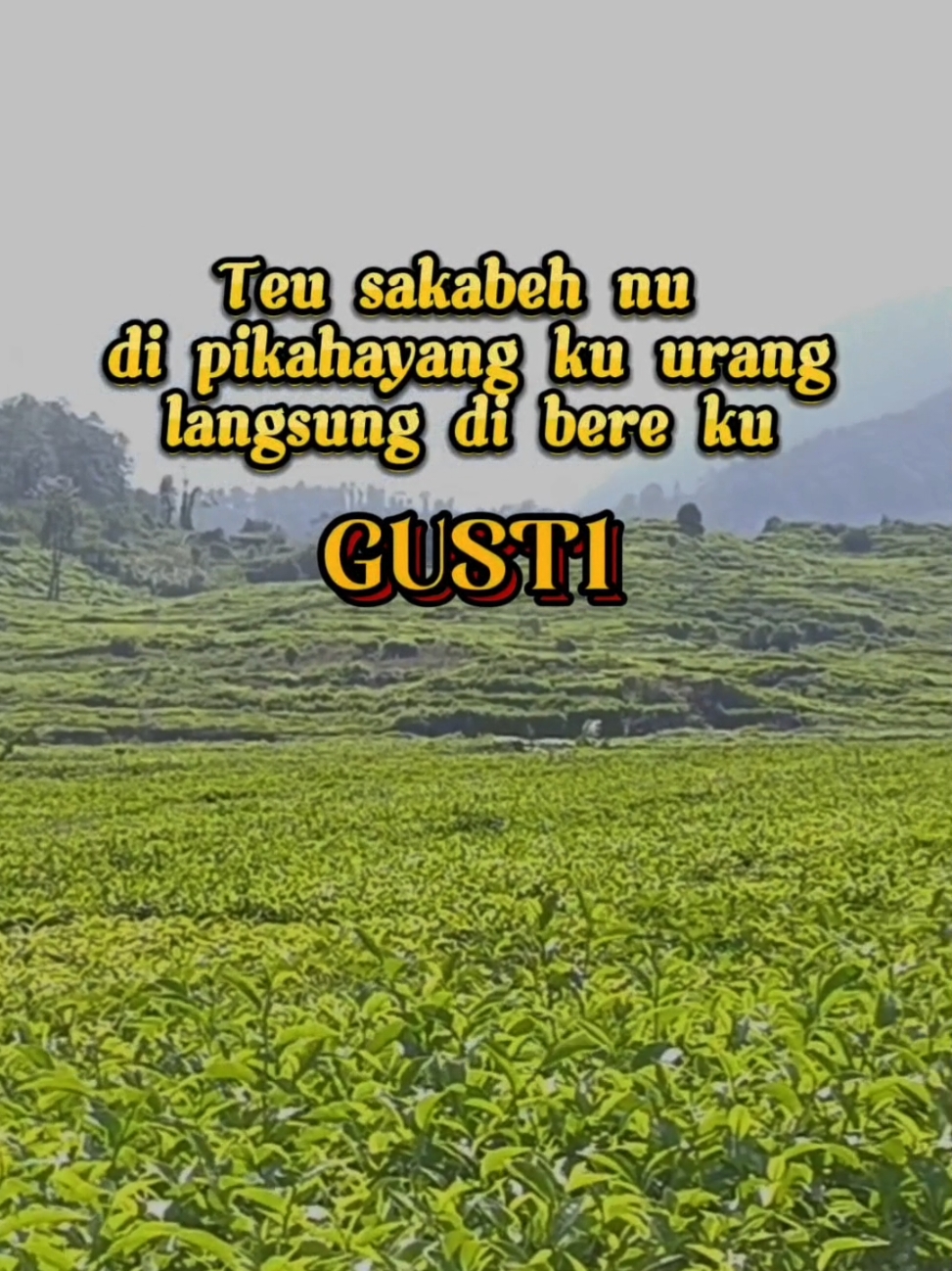 wilujeng enjing baraya #soreang #persawahan #sawah #cadasgantung #lemburkuring #quotes #quotestory #quotesaesthetic #sholawat #sholawatan #katakatasunda