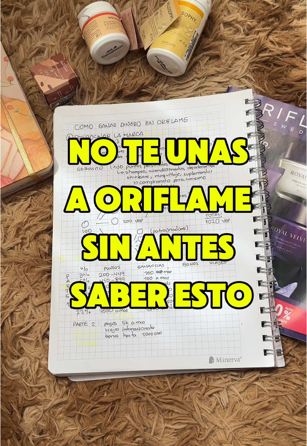 El mejor negocio del mundo 🌎 #sandraramos #oriflame #oriflamenegociodigital #oriflamelatam  . .  #ventaporcatalogo #negociosdigitales #negocio 