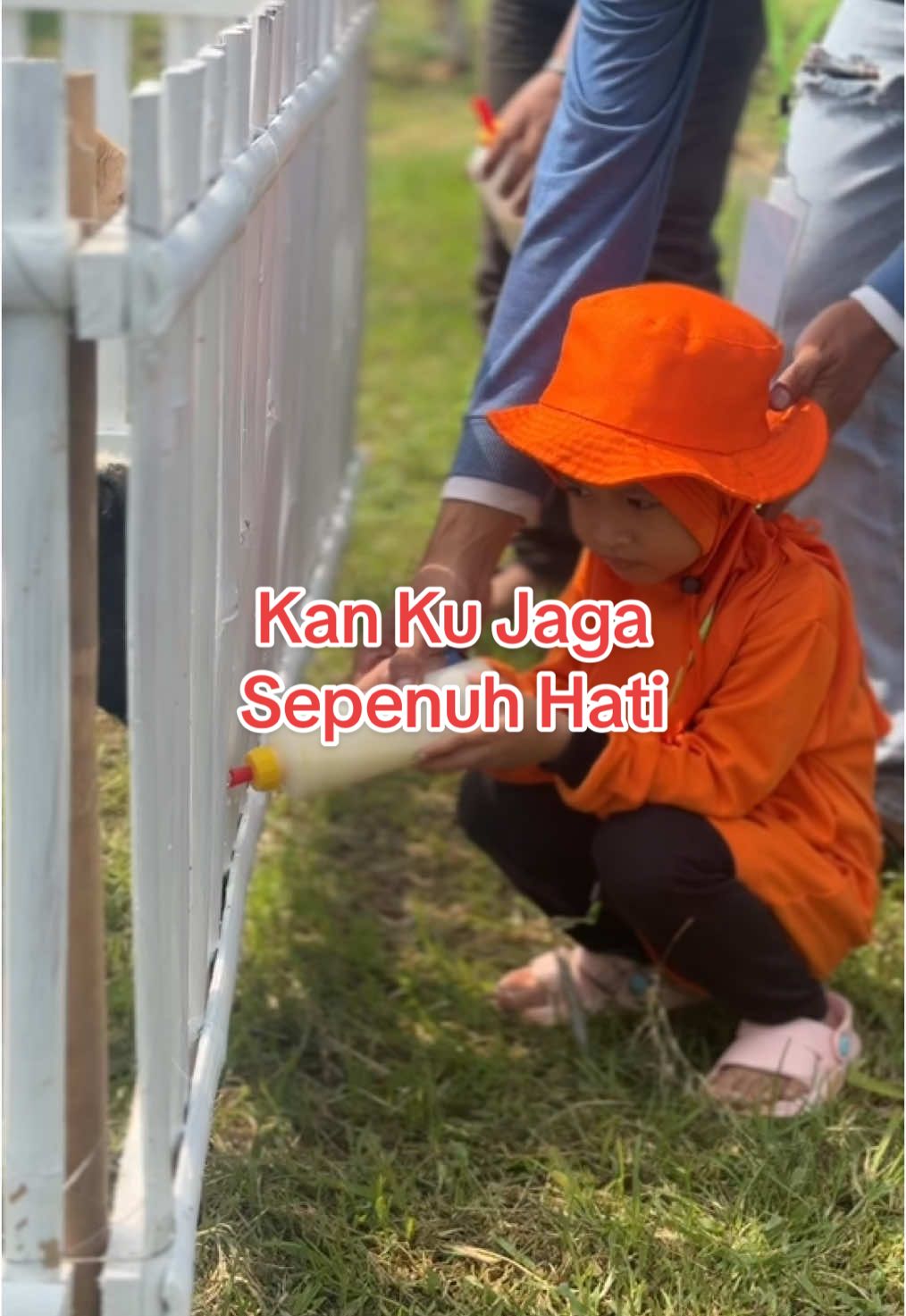 Kan Ku jaga dengan sepenuh hati ….#dombaviral #dombatiktok #peternakanindonesia #peternakandomba #peternakankambing #peternakmilenial #dorper #edukasiternak #pelatihanternak #pakanternak #kajuresortfarm 