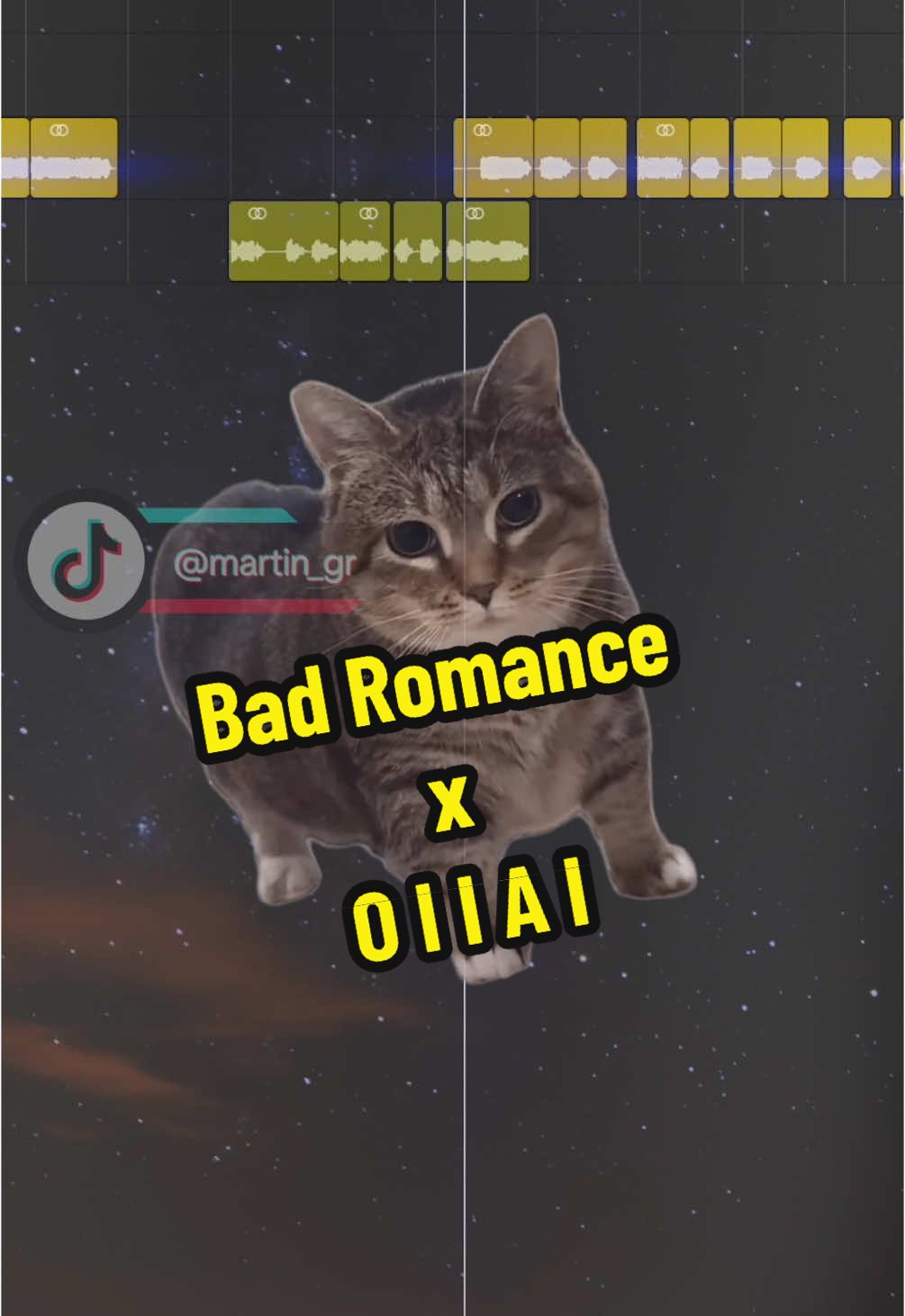 Replying to @Chuchi  Bad Romance x OIIAI @Ethel the OIIA Cat  #cat #oiiaiiooiiai #cats #mashup #memes #fyp #foryou #fypシ゚ #viral 