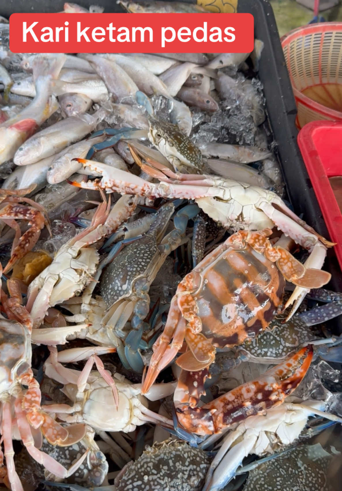 Kari ketam pedas #MalaysianFood #foodporn #foodblogger #cookingtiktok #indianspices #masakansimple #resepimudah #kari #tiktok #fyp #ketam #crab #curry 