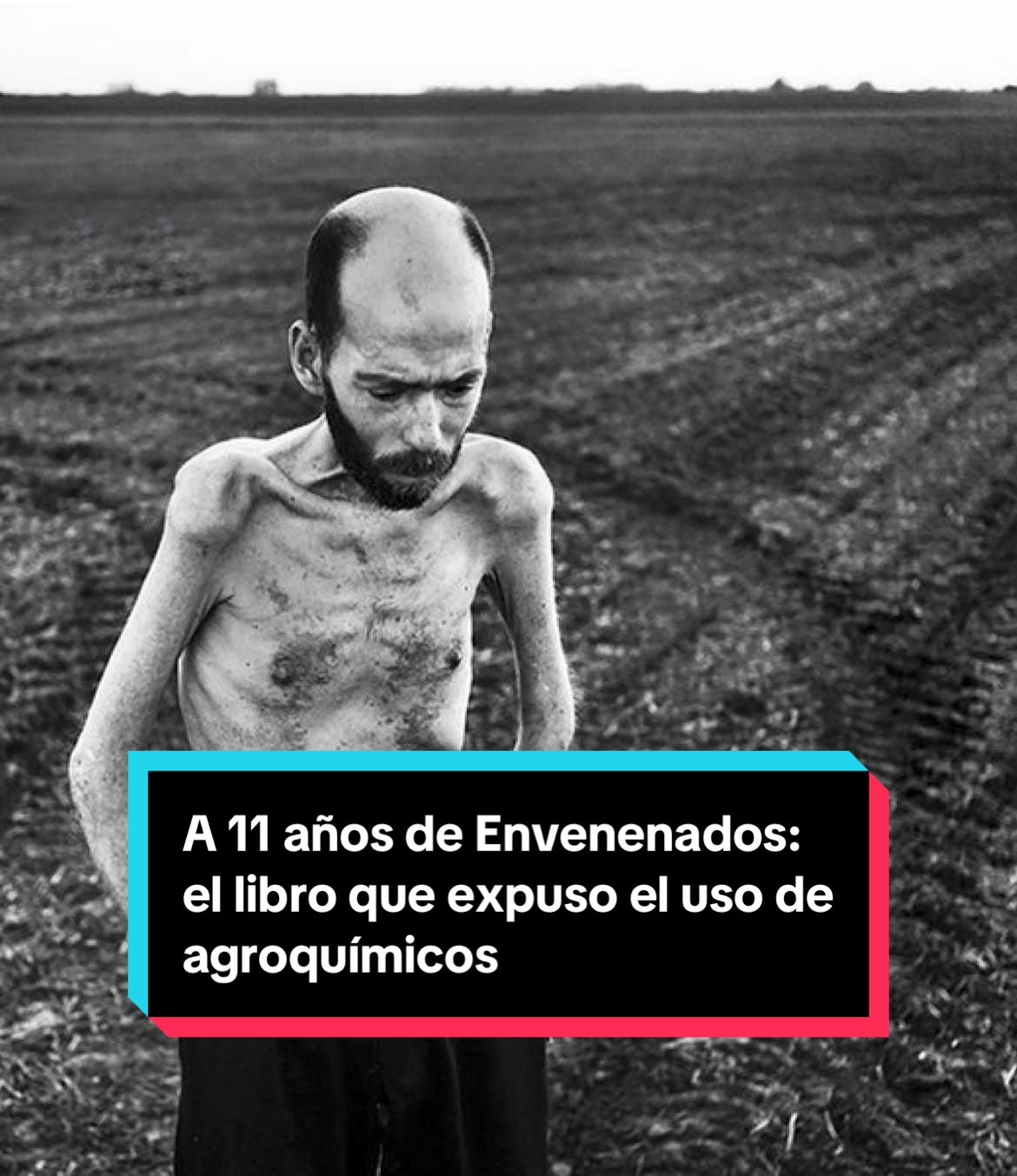 👉🏻 A 11 años de Envenenados: el libro que expuso el uso de agroquímicos. 