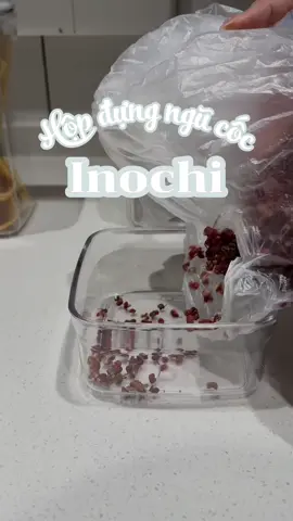 Hộp đựng thực phẩm khô, ngũ cốc inochi vớt thiết kế nắp nhấn siêu khít giúp bảo quản thực phẩm khỏi ẩm mốc, mối mọt #hopbaoquanthucphamkho #hopbaoquandokho #hopdungthucphaminochi #hopdungthucphamkho #hopdungthucphamkhoinochi #hopdungthucphamkhohokkaido #hopdungdokhoinochi #nhaminhreview #reviewgiadung 