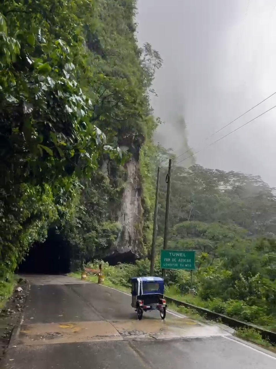 #selvacentral🌴💚 #peru🇵🇪  #sanramon #lamerced #chanchamayo#militarytiktok  #arboles#viajes#militar#carreteracentral#selvacentral #2024 #pyf #verde #naturaleza 