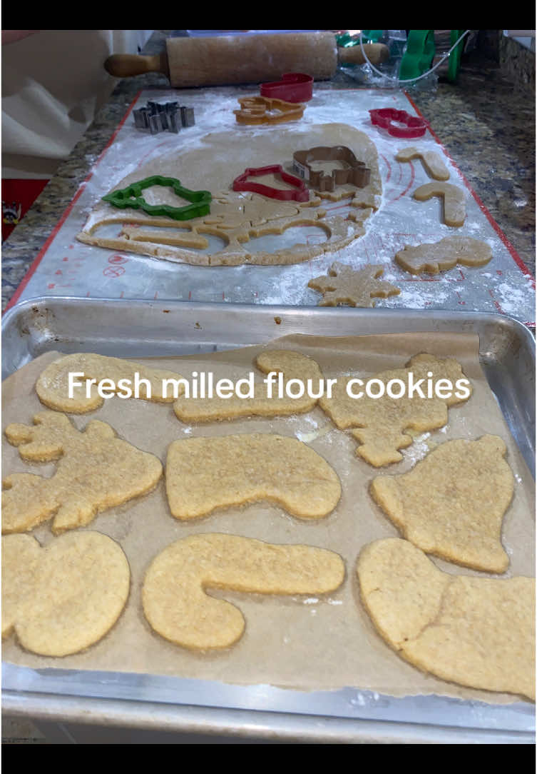 Everything homemade makes me feel my healthiest!! #freshmilledflour #einkorn #homestead #homesteading #crunchy #healthy #healthyliving #fypシ゚viral #allnatural #healthylivingtips #heathylifestyle #maha #makeamericagreatagain🇺🇸❤️ ##homemade##food##rfkjr##health##flour##dessert##Foodie##tallow