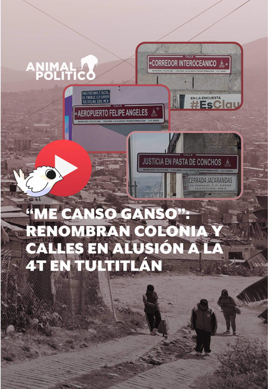 En Tultitlán, Estado de México, le cambiaron el nombre a las calles por unos alusivos al gobierno de AMLO y la Cuarta Transformación. Los vecinos dicen que esto deja varias consecuencias en sus papeles y escrituras. #tutitlan #estadodemexico #cuartatransformacion #amlo #mexico #animalpolitico #lopezobrador 