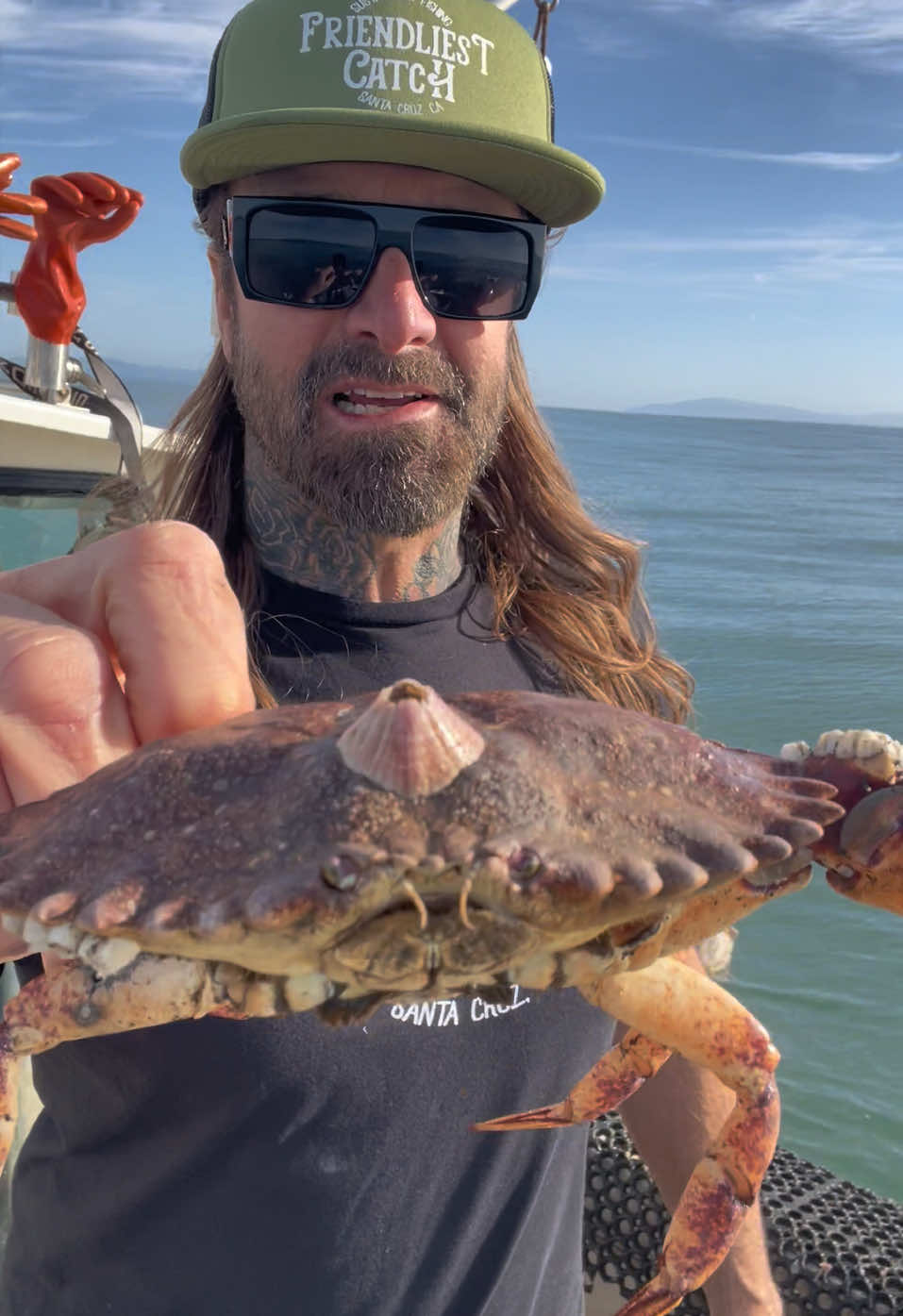 Barnacle Chronicles #asmr #barnaclechronicles 