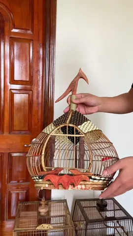Lồng chim cu gáy tre già đan mây ##toiyeuchimcanh##chimcanhvietnam##longchimcugaylongcugay