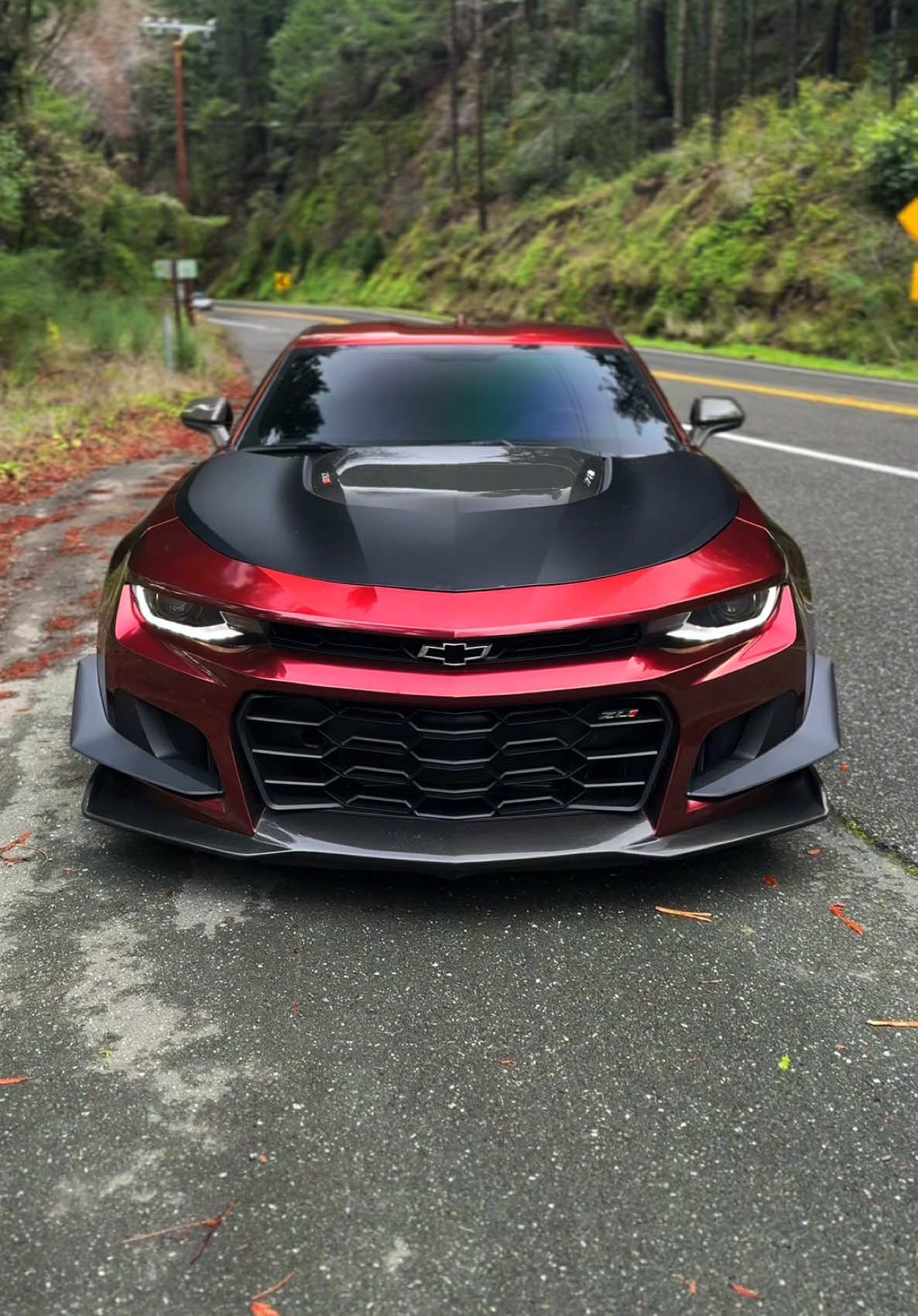 🖤🍒 #camaro #camarozl1 #camarozl1 #camarozl11le #zl1 #zl11le #zl1camaro #corvette #z06 #corvettez06  #6thgencamaro #chevrolet #chevroletcamaro #chevy #camaros #musclecar #foryou #fyp