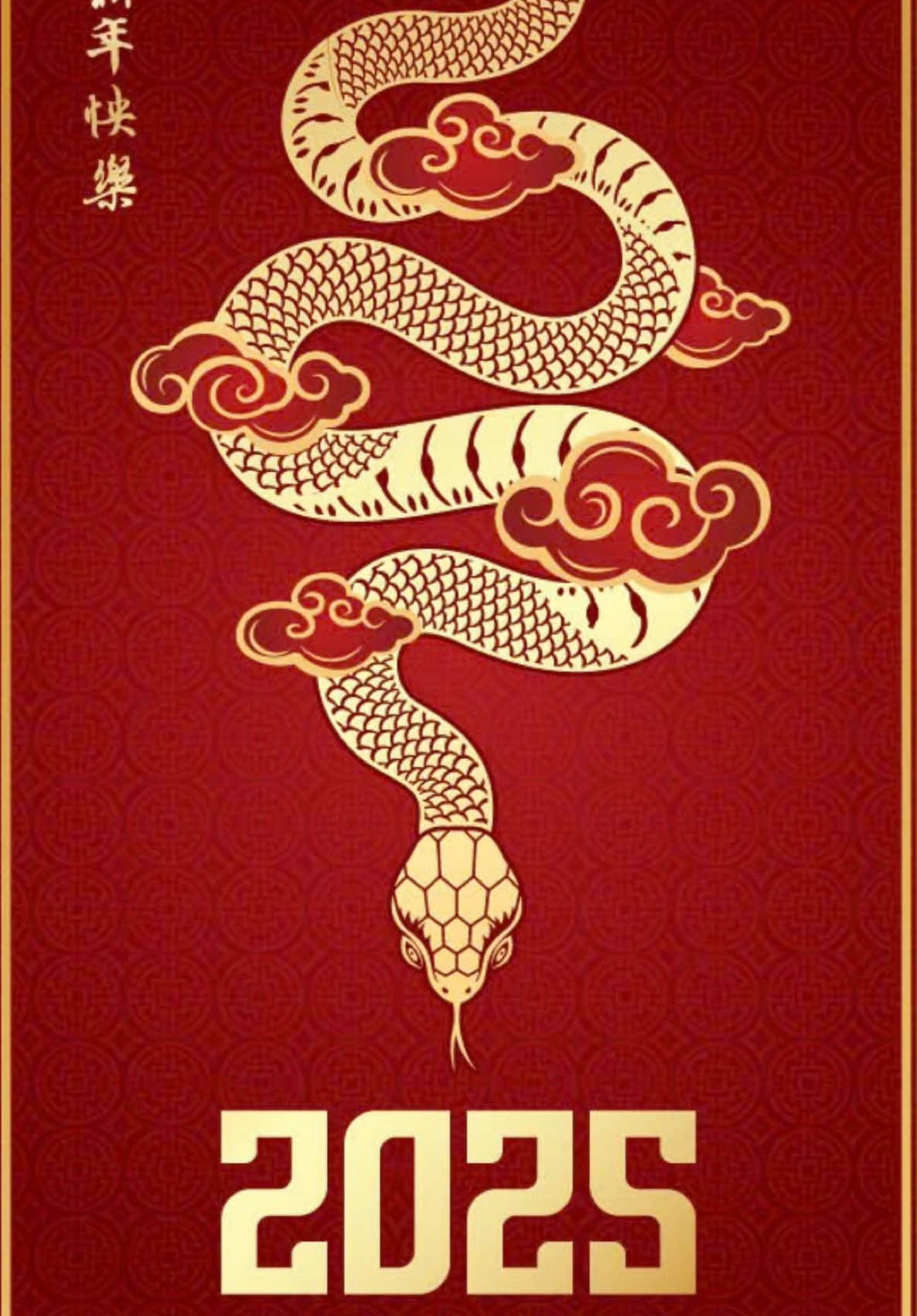 Happy Chinese new year 2025 Zodiac sign, year of the Snake #chinesenewyear2025🐍 #yearofthesnake🐍 #vietnamesenewyear #snake 