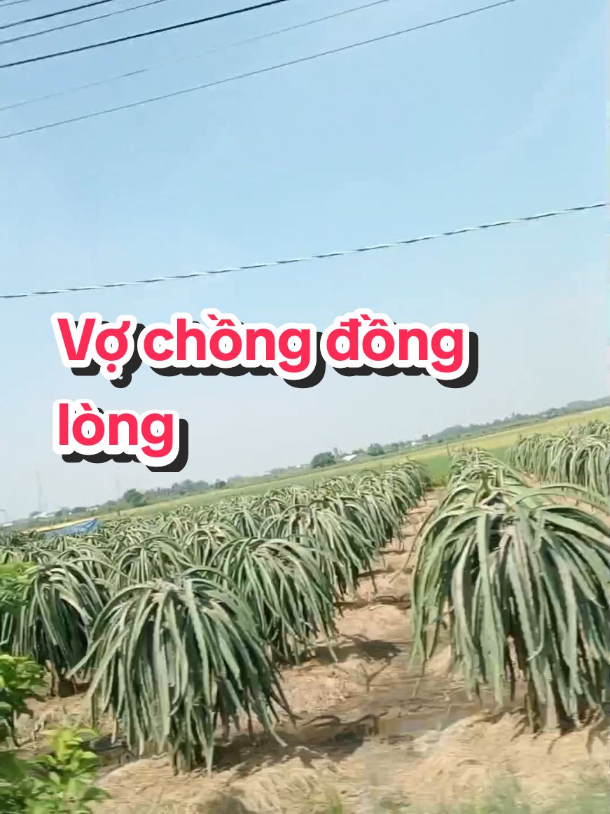 Vợ chồng đồng lòng !!! #ngocthuy85 #cuocsongthuongngay 