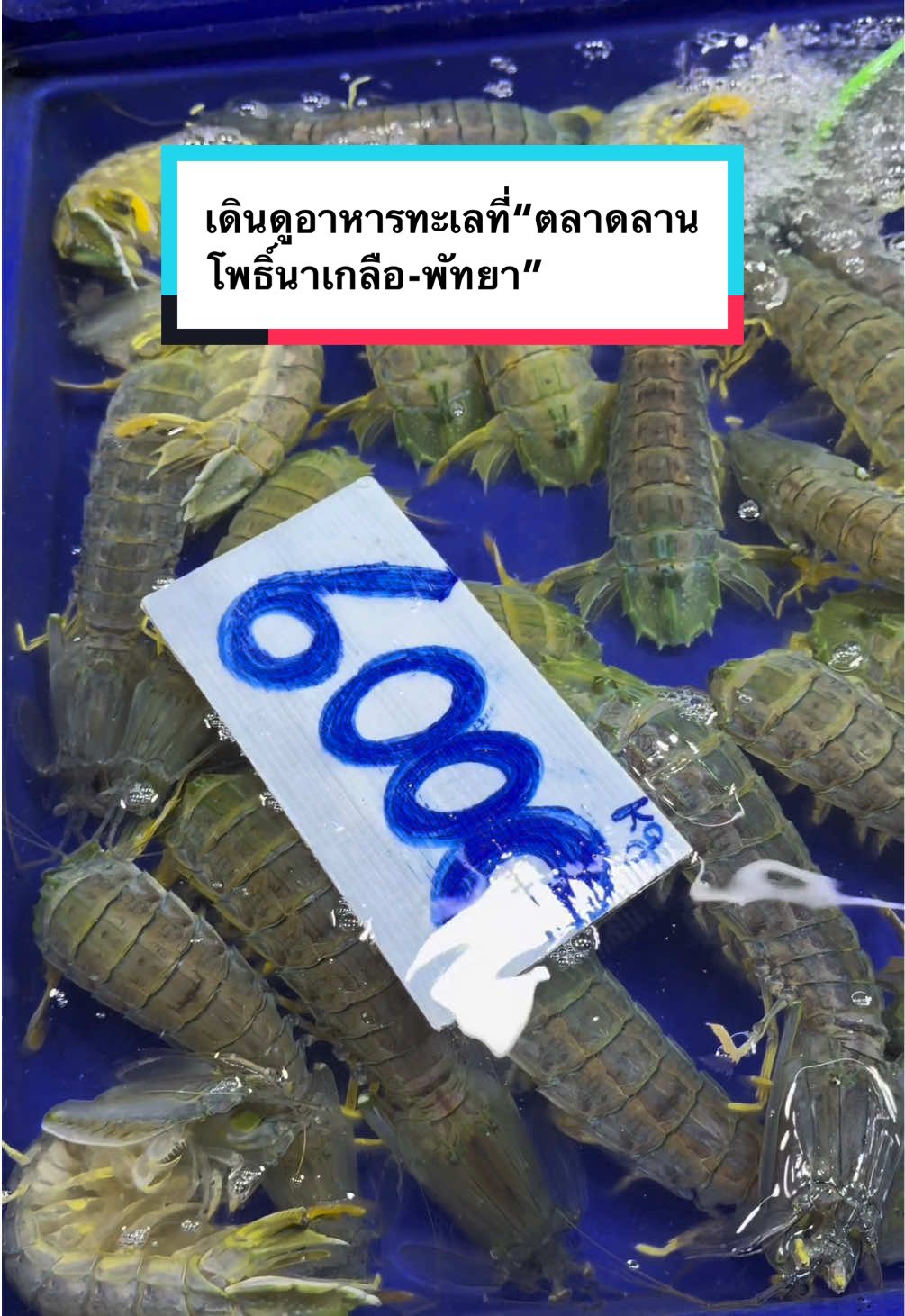 เดินดูอาหารทะเลที่“ตลาดลานโพธิ์นาเกลือ-พัทยา” #ตลาดลานโพธิ์นาเกลือ #พัทยา #อาหารทะเล #ซีฟู้ด #ตลาด #ตลาดสด #pattaya #seafood #fishmarket #greenspets 