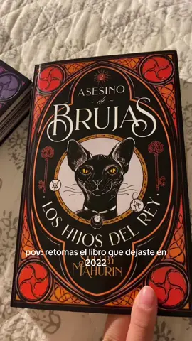 ayudaaa no recuerdo nada aparte de que lou y reid son muy lindos 😭 #libros #BookTok #fyp #asesinodebrujas #shelbymahurin #louleblanc #reiddiggory 
