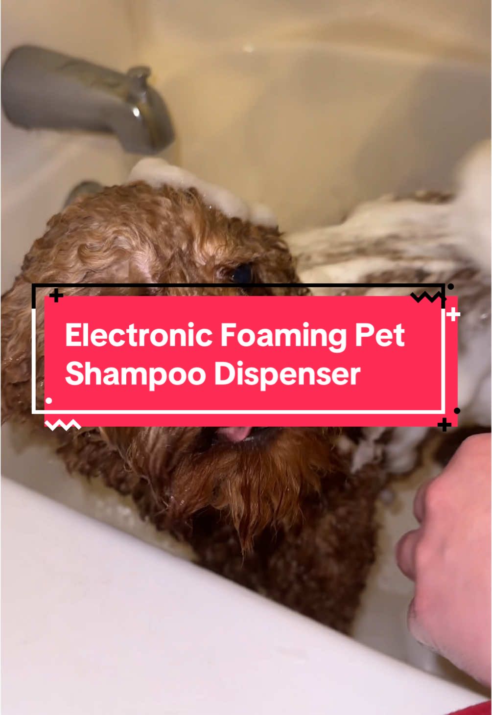 I will be using this every time I give my dogs a bath! This is great. I don’t know why I haven’t gotten one before now. @Heapets Official #bathtime #bath #dog #dogsoftiktok #shampoo #shampoodispenser #fyp 