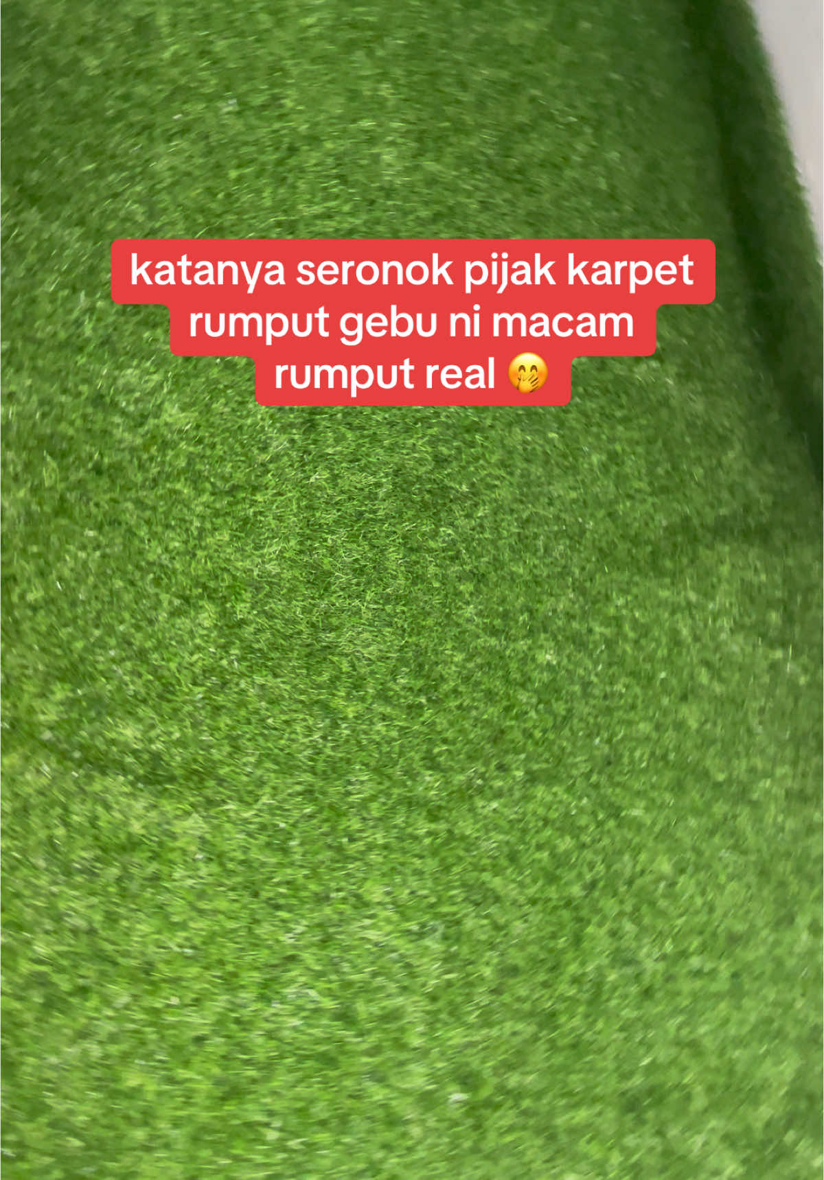 Berbaloi beli letak depan rumah. material karpet pon tebal berbaloi sesuai dengan harga. #karpet #karpetrumput 