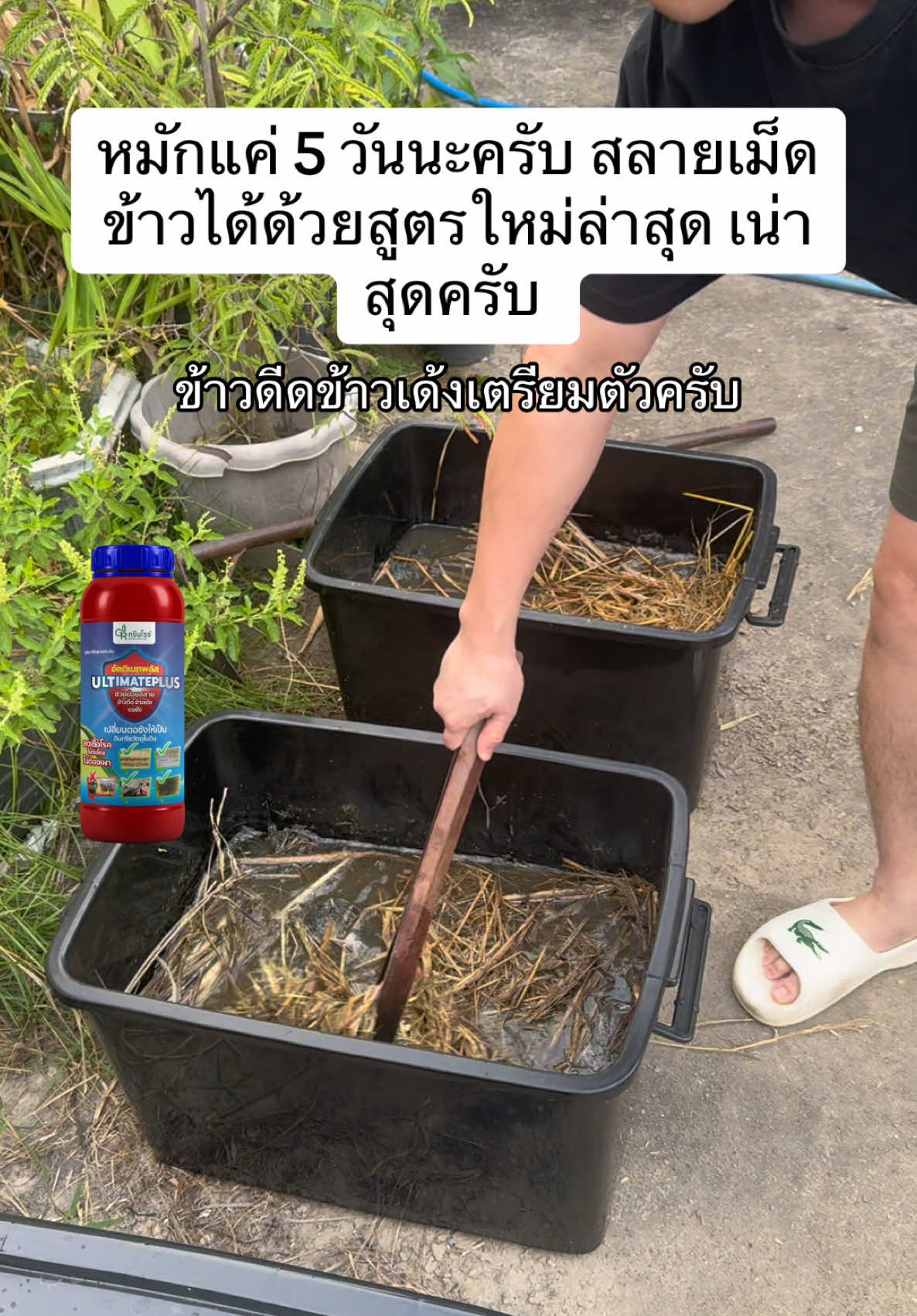 🌱 ตัดปัญหาตอซัง! ใช้ อัลติเมทพลัส ย่อยไว ลดโรคในดิน ไม่ต้องเผาให้เสียเวลา 🔥1 ขวดใช้ได้ถึง 4-5 ไร่ คุ้มกว่านี้ไม่มีอีกแล้ว #ย่อยสลาย #ย่อยสลายตอซังฟางในนาข้าว 