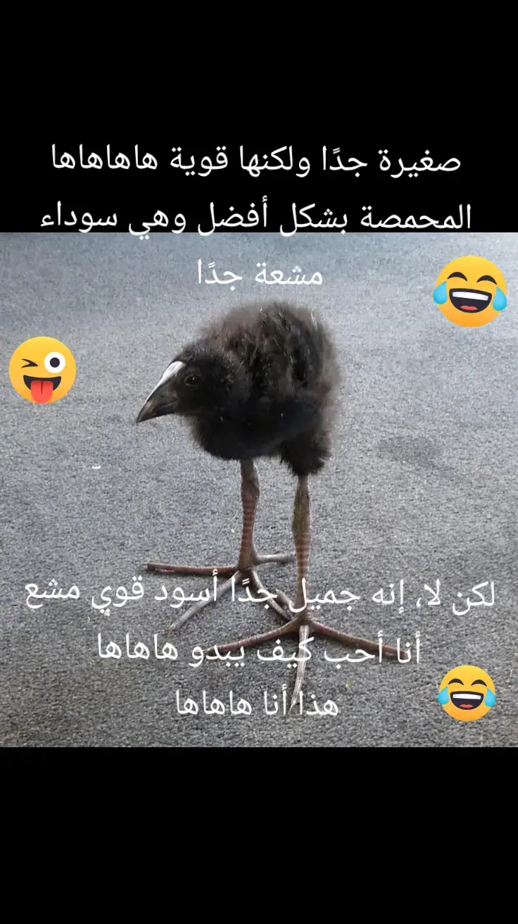 😂😂😂😂😂 #هذا أنا#ههههه #ضحكة