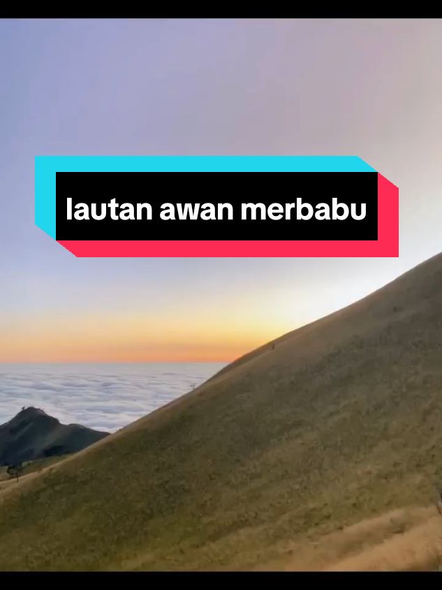 merbabu dengan lautan awanya#merbabuviasuwanting #merbabu3142mdpl #merbabu #fypシ゚viral 