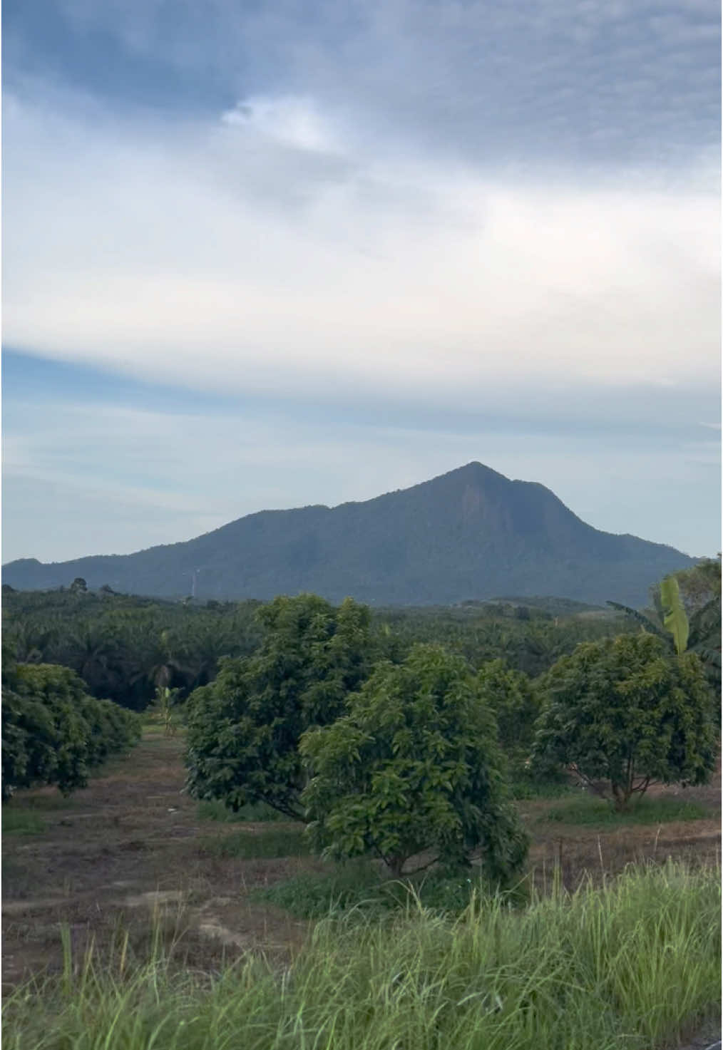 Best view🍃 #fyp #singkawang #pangmilangsingkawang 