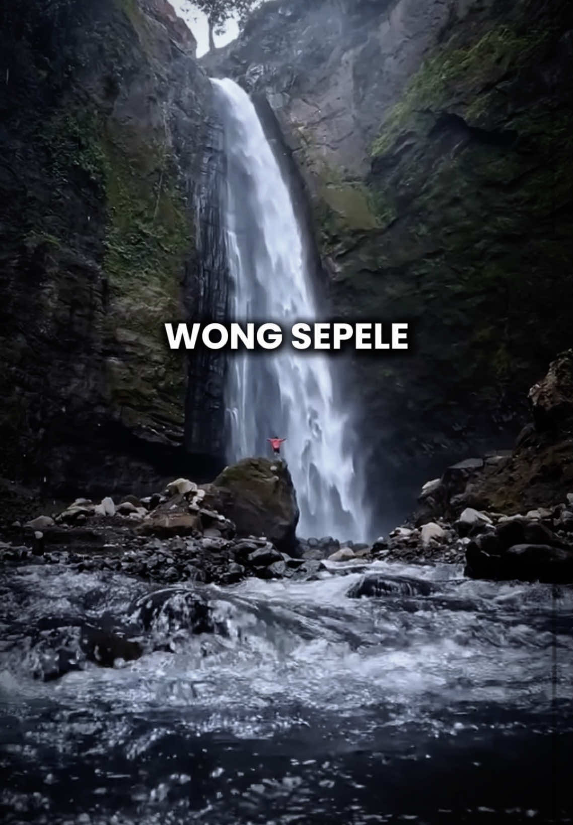 Wong Sepele 🌻  #rukunrasta #wongsepele #ndarboygenk #lirik #liriklagu #lagu #story #musik #fyp #cover #reggae #ska #rock #ambyar #jowo #kehidupan #manusia #semangat #bangkit #motivasi #sound #wongjowo #trending 