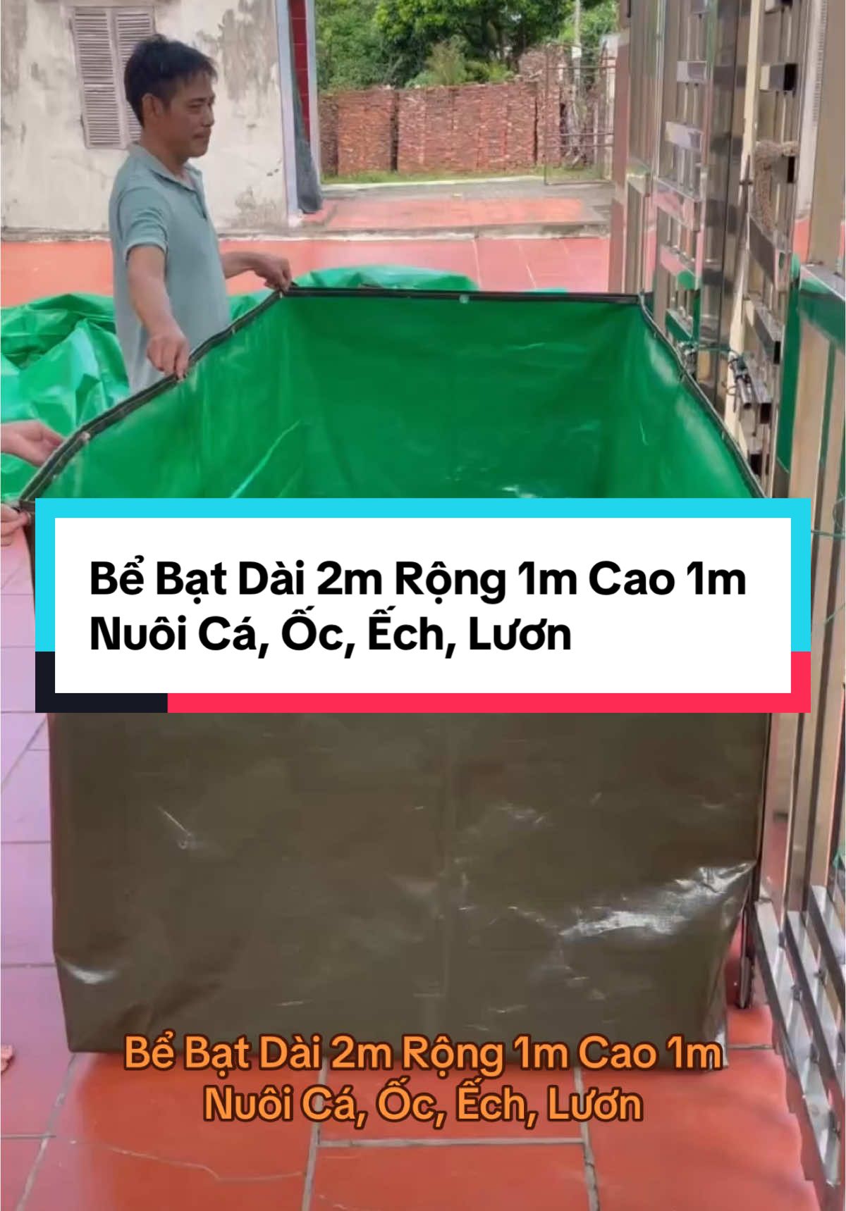 Bể Bạt Dài 2m Rộng 1m Cao 1m Nuôi Cá, Ốc, Ếch, Lươn. #batluoiminhkhang #bebat #nuoithuysan #bebatnuoithuysan 